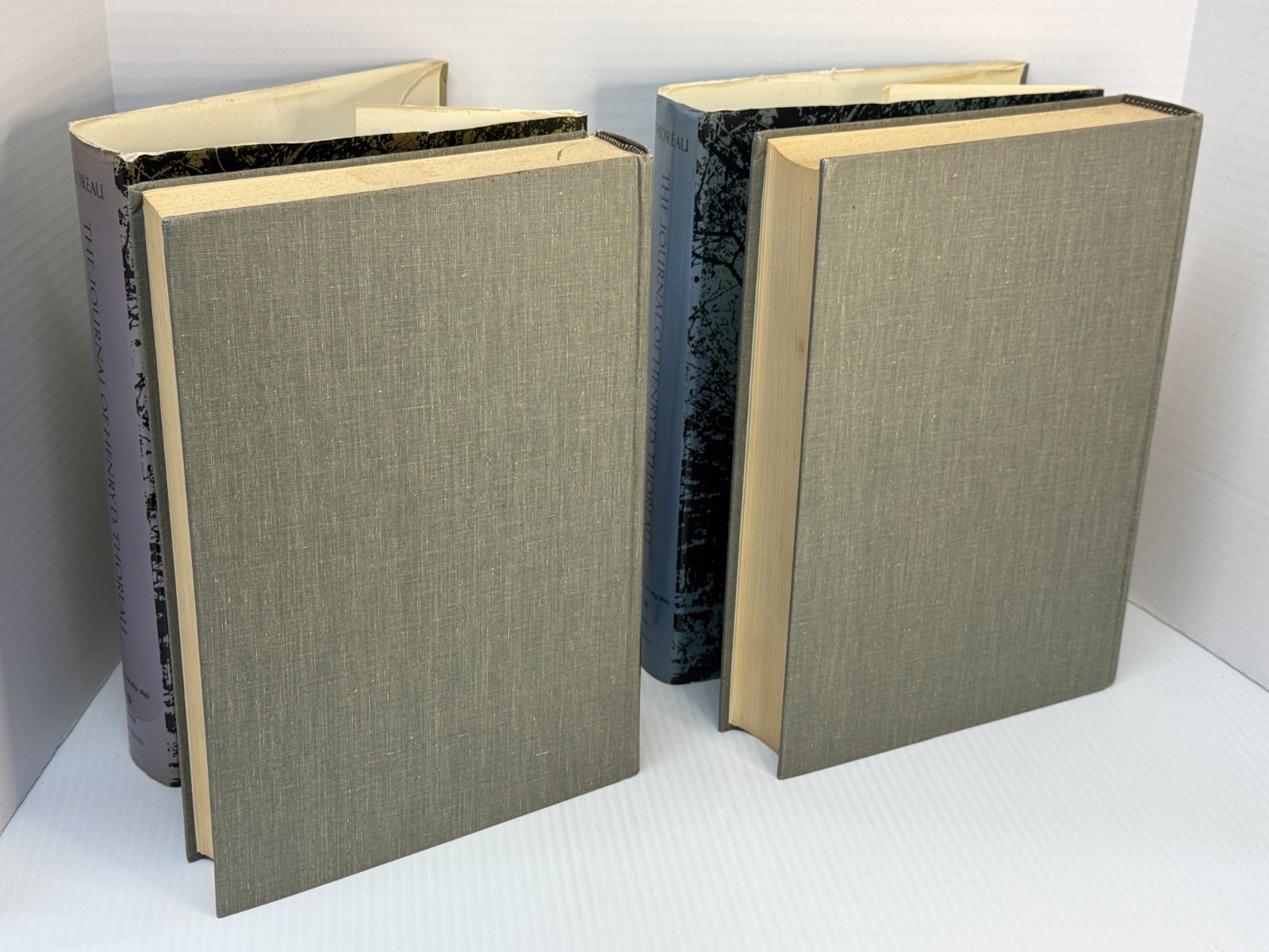 The Journals of Henry D. Thoreau in 14 Volumes Bound as Two (Dover HC set, 1962)