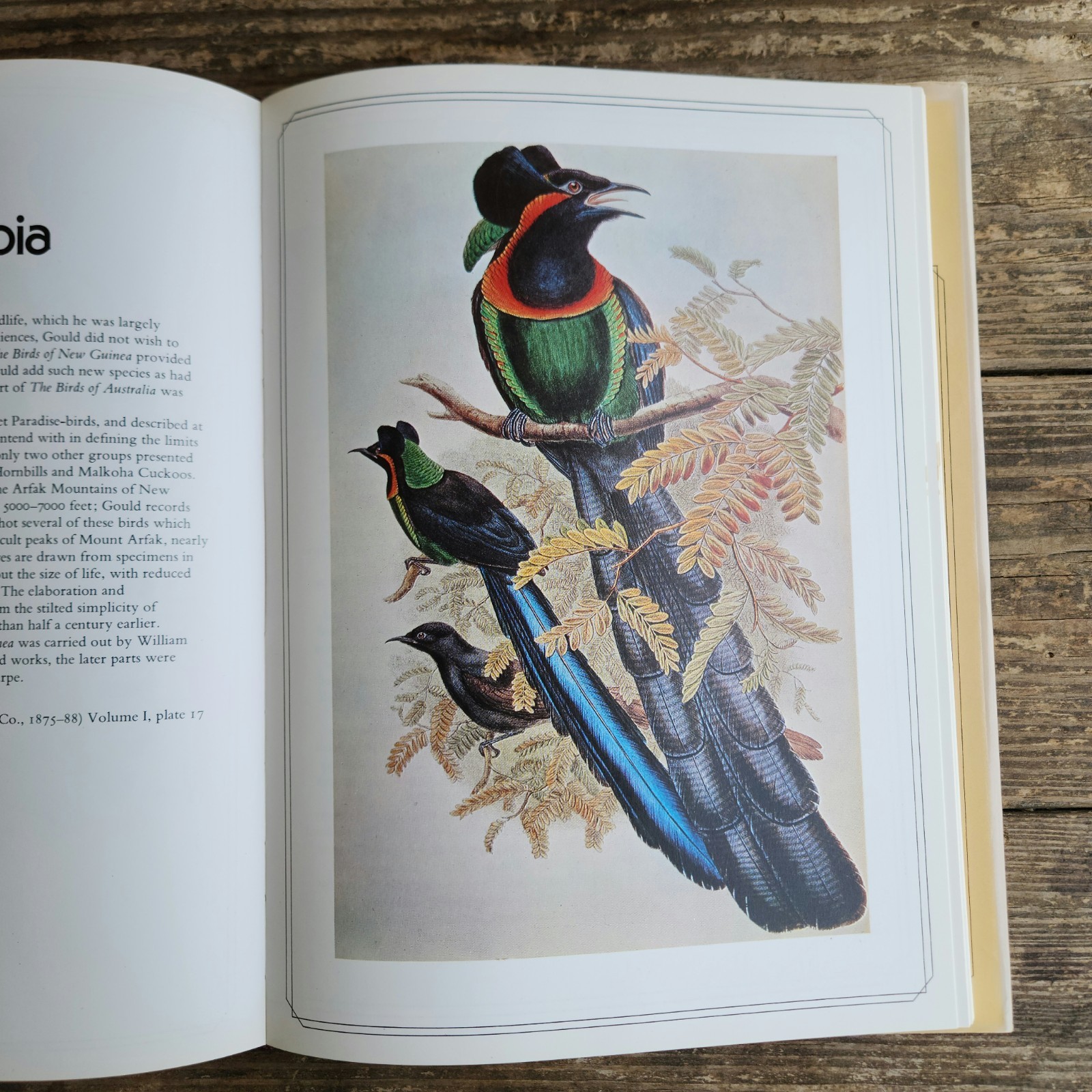 The Great Bird Illustrators And Their Art 1730-1930 Peyton Skipworth 1979