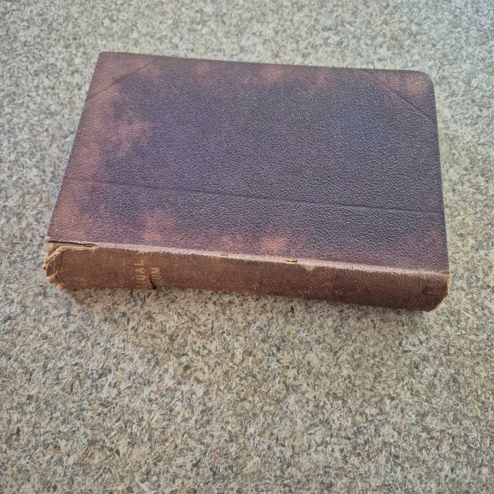 BIBLICAL MUSEUM – James Comper Gray Volume 5 1873 The Epistle To The Hebrews