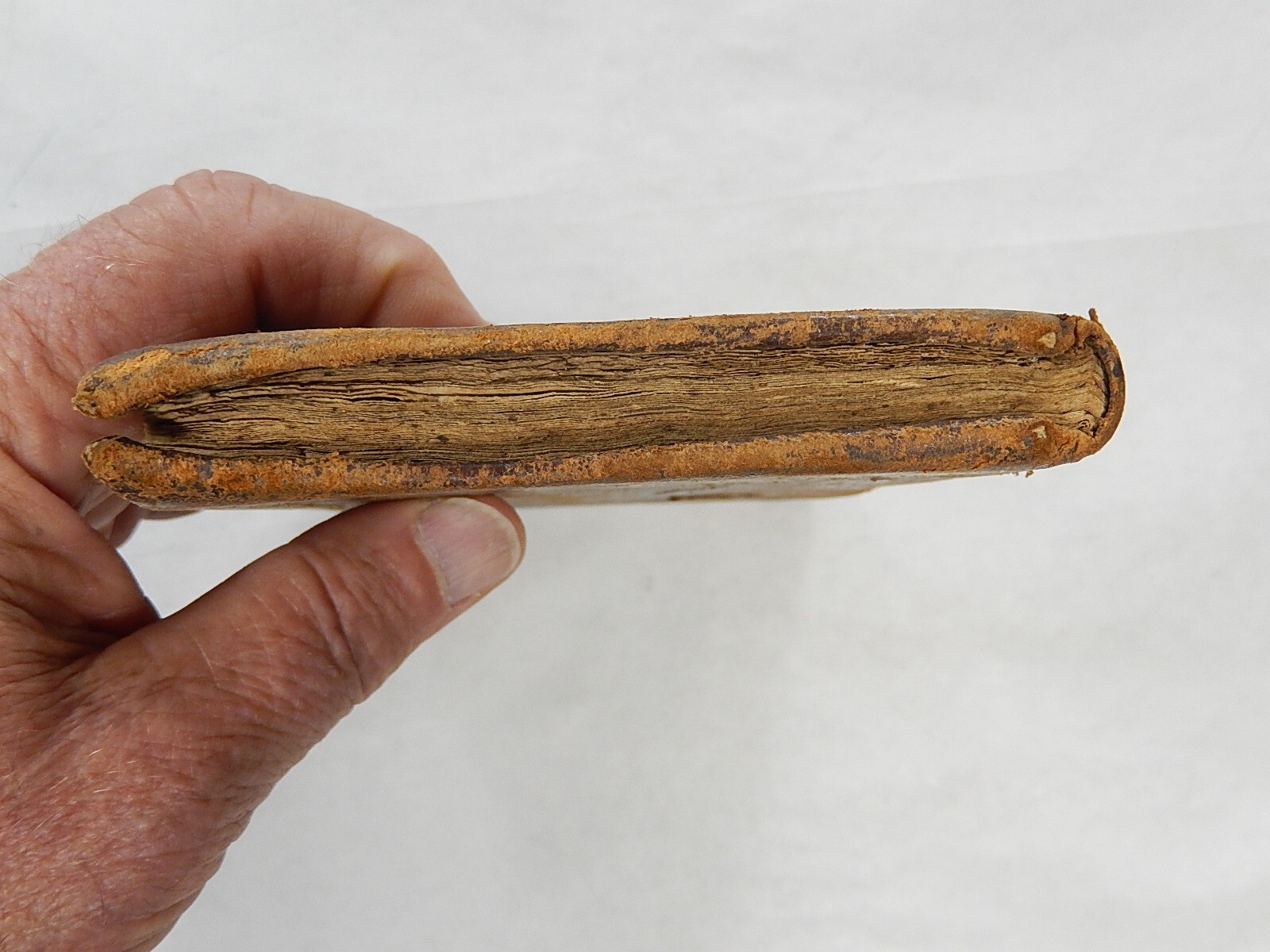 Liber Primus, Latin, 1826, Fun Genealogical Project, Leather, Worn Out