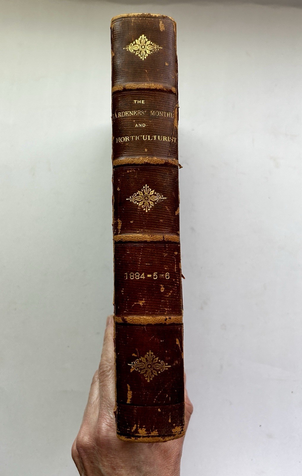 1884 – 86 The Gardeners’ Monthly & Horticulturist Thomas Meehan 23 Issues Bound