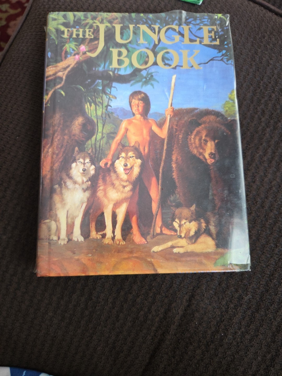 Grosset & Dunlap Illustrated Junior Library Classics Lot of 10 HC Alice, Peter..