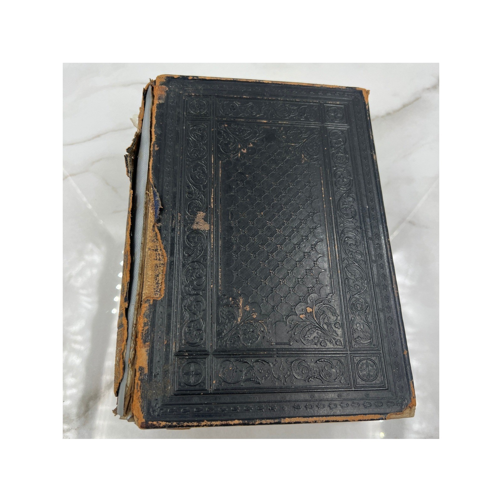 Practical Home Physician 1886 Lyman Illustrated Color Plates Antique Medical