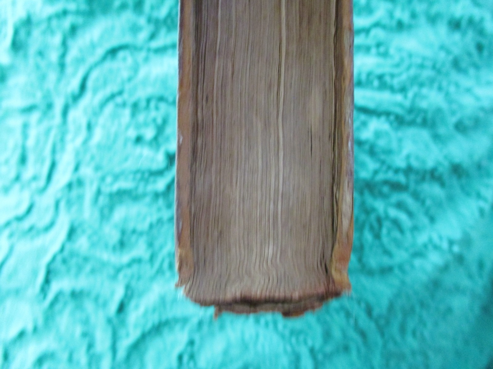 View of Expected Christian Millennium – Josiah Priest – 1831 Leather 10