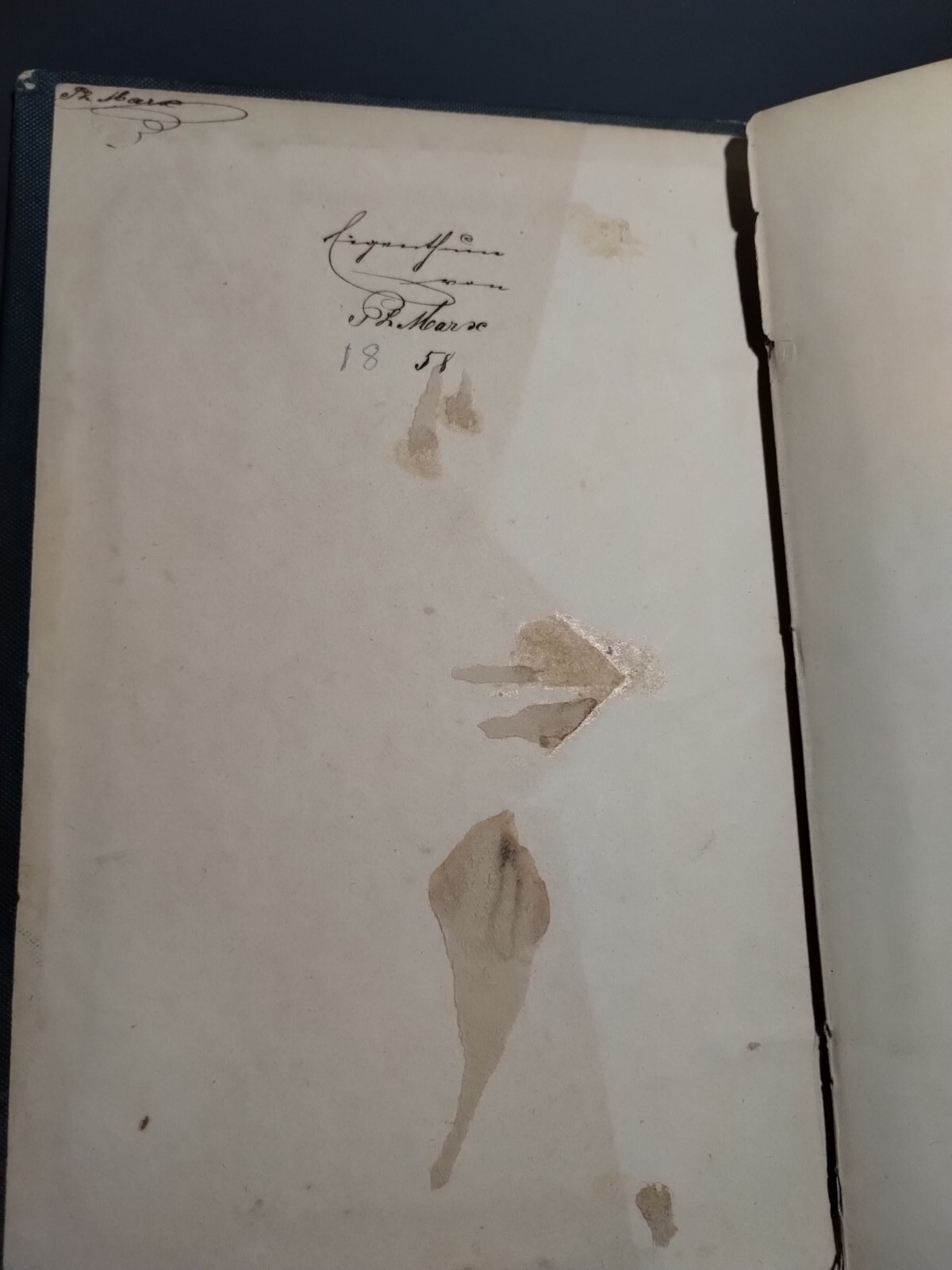 Palatinate At Rhine Rhein Pfalz Illus. Antique, Decorative Hardcover Book 1850’s