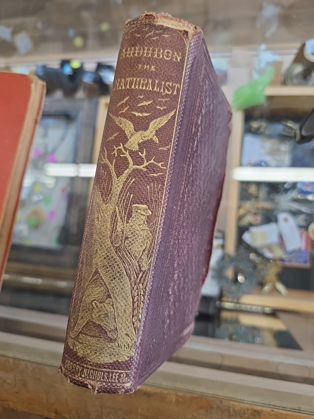 LIFE OF AUDUBON NATURALIST OF NEW WORLD 1861 ed Mrs Horace St. John VERY GOOD