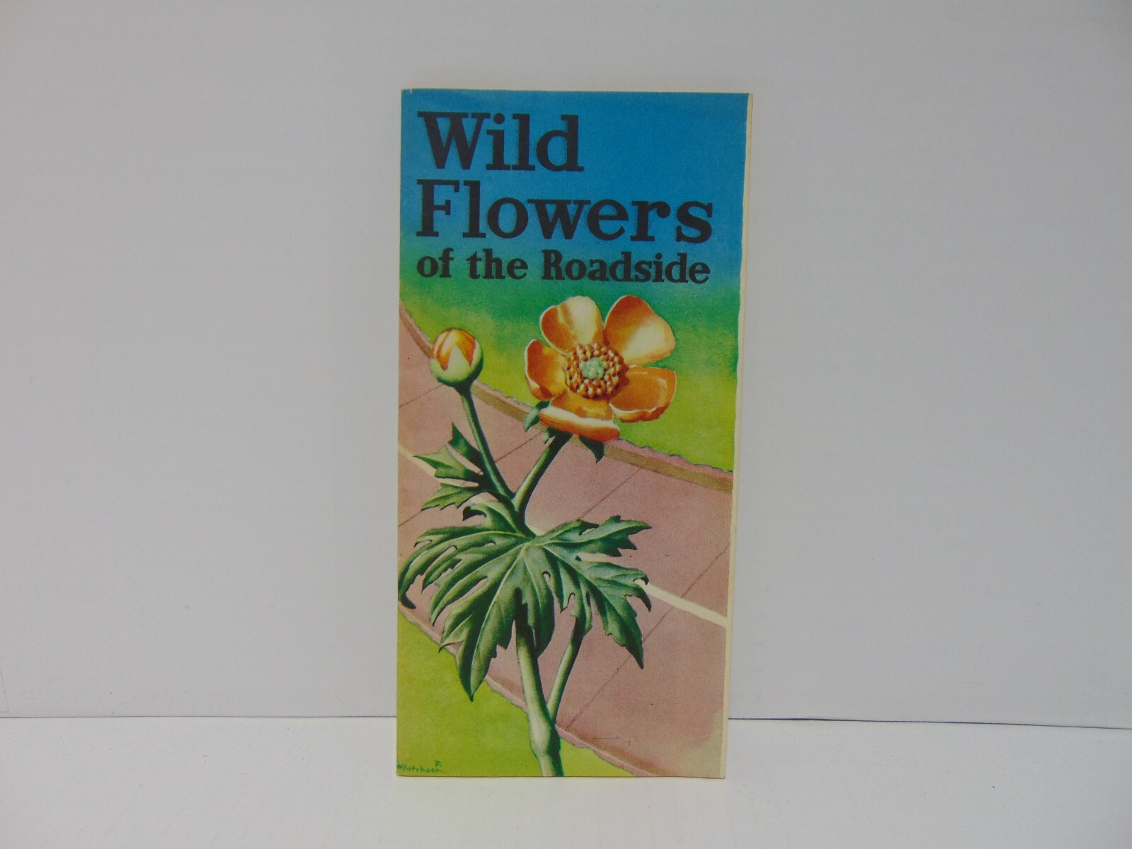 Wild Flowers On The Roadside For GM Men And Women IR 55-72 1956 Booklet