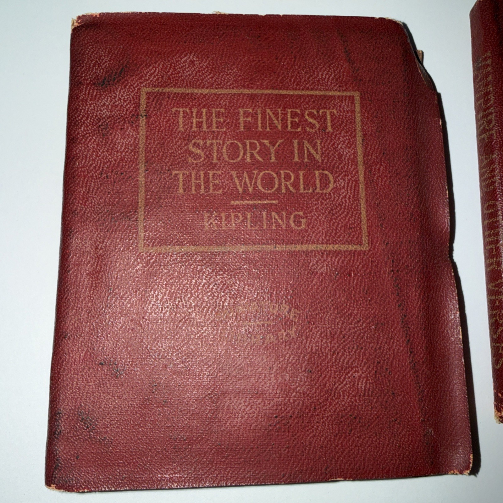 MINIATURE LIBRARY BOOKS Kipling VAMPIRE WILDE TENNYSON Antique Literature