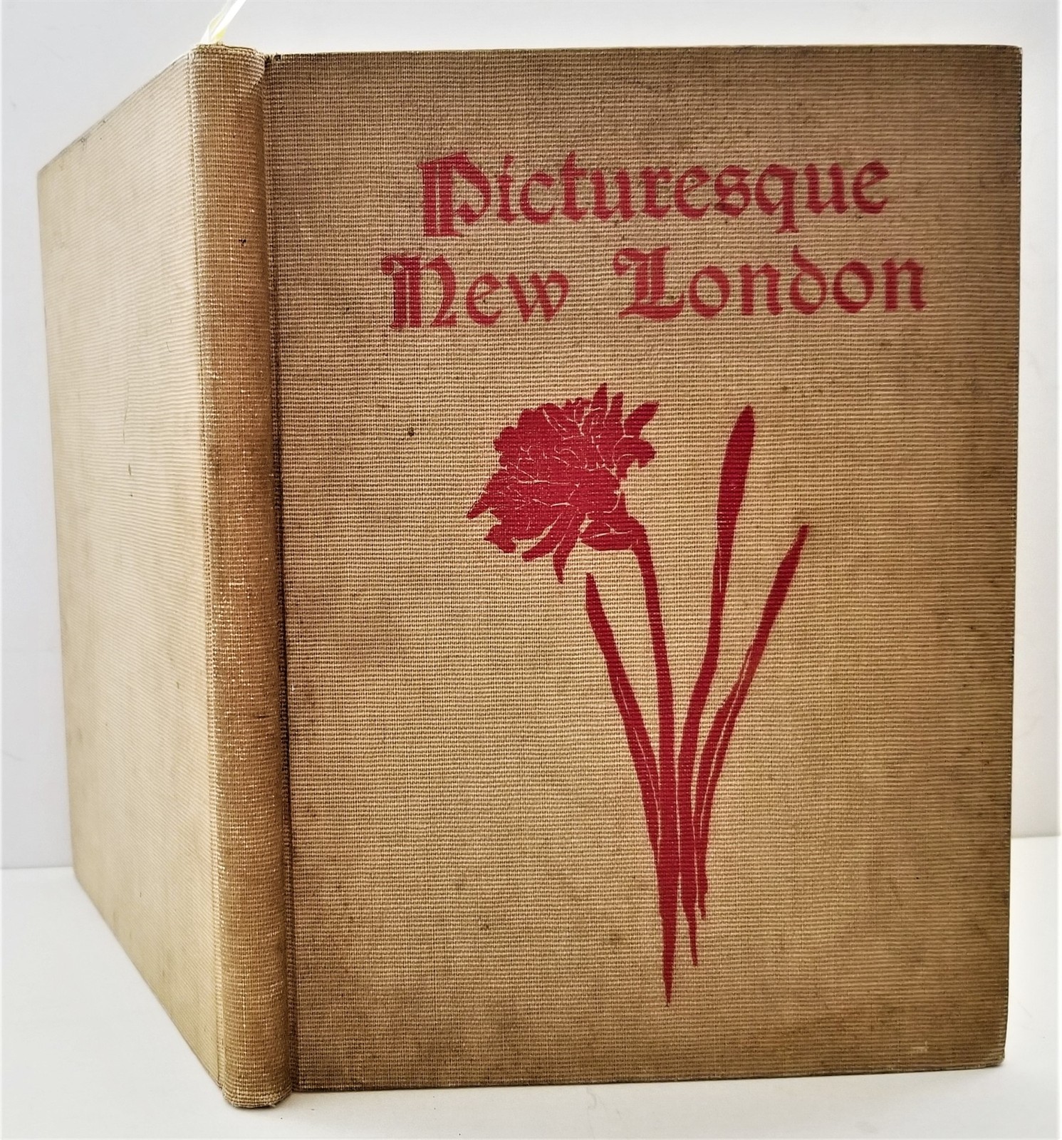 1901 NEW LONDON CT HISTORY illustrated picturesque genealogy