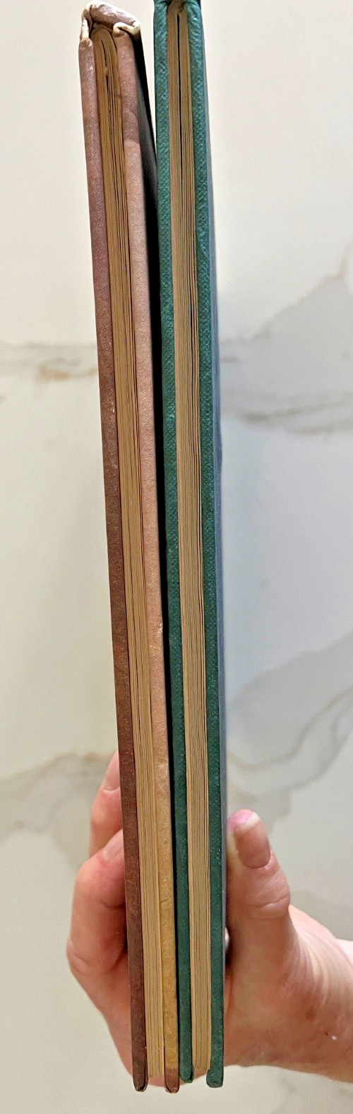 Great Art of the Ages 2 Lot Rembrandt Goya Koehler Wight Hardback Very good