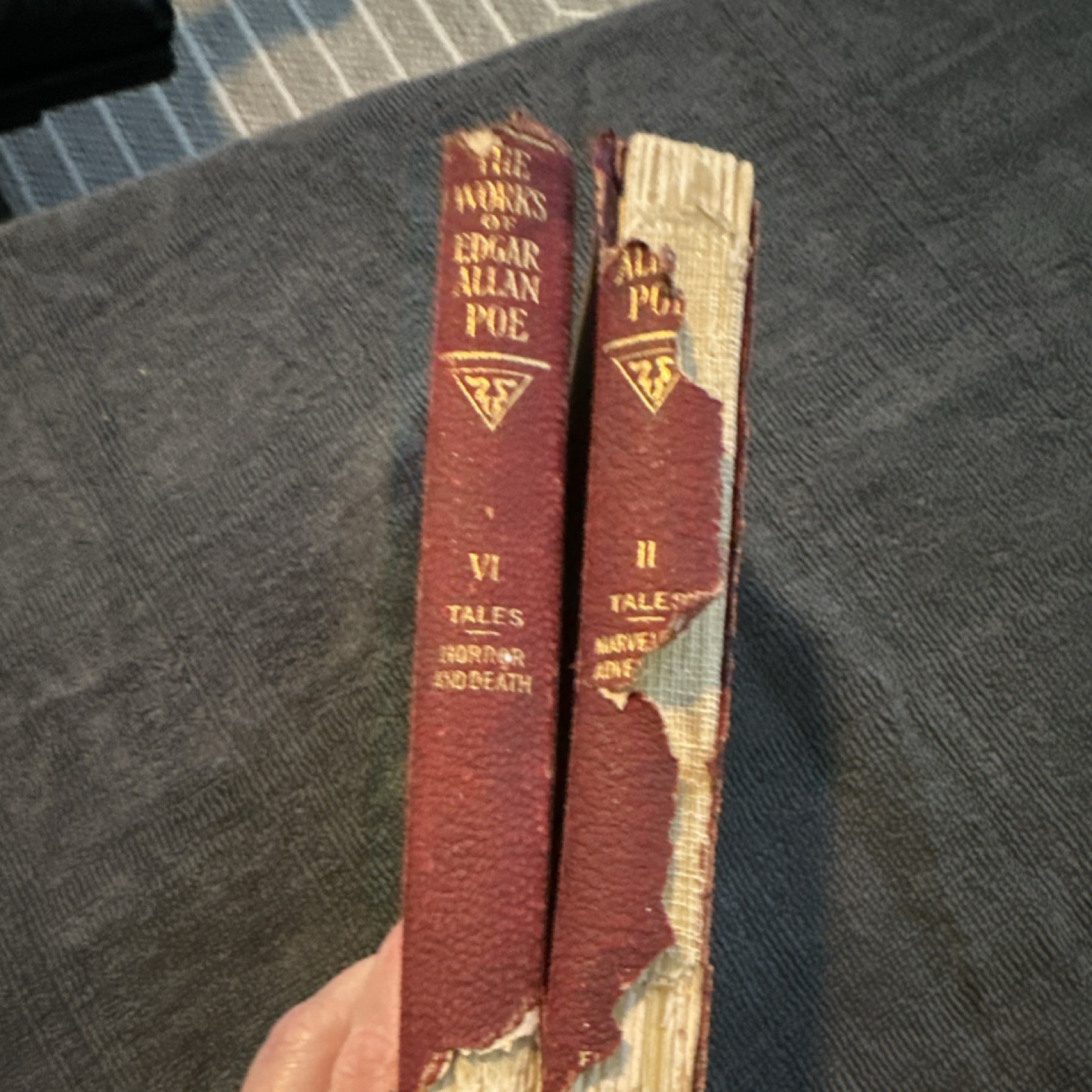 Funk & Wagnalls Edgar Allan Poe Works Cameo Edition Vol II & VI 1904 Illustrated
