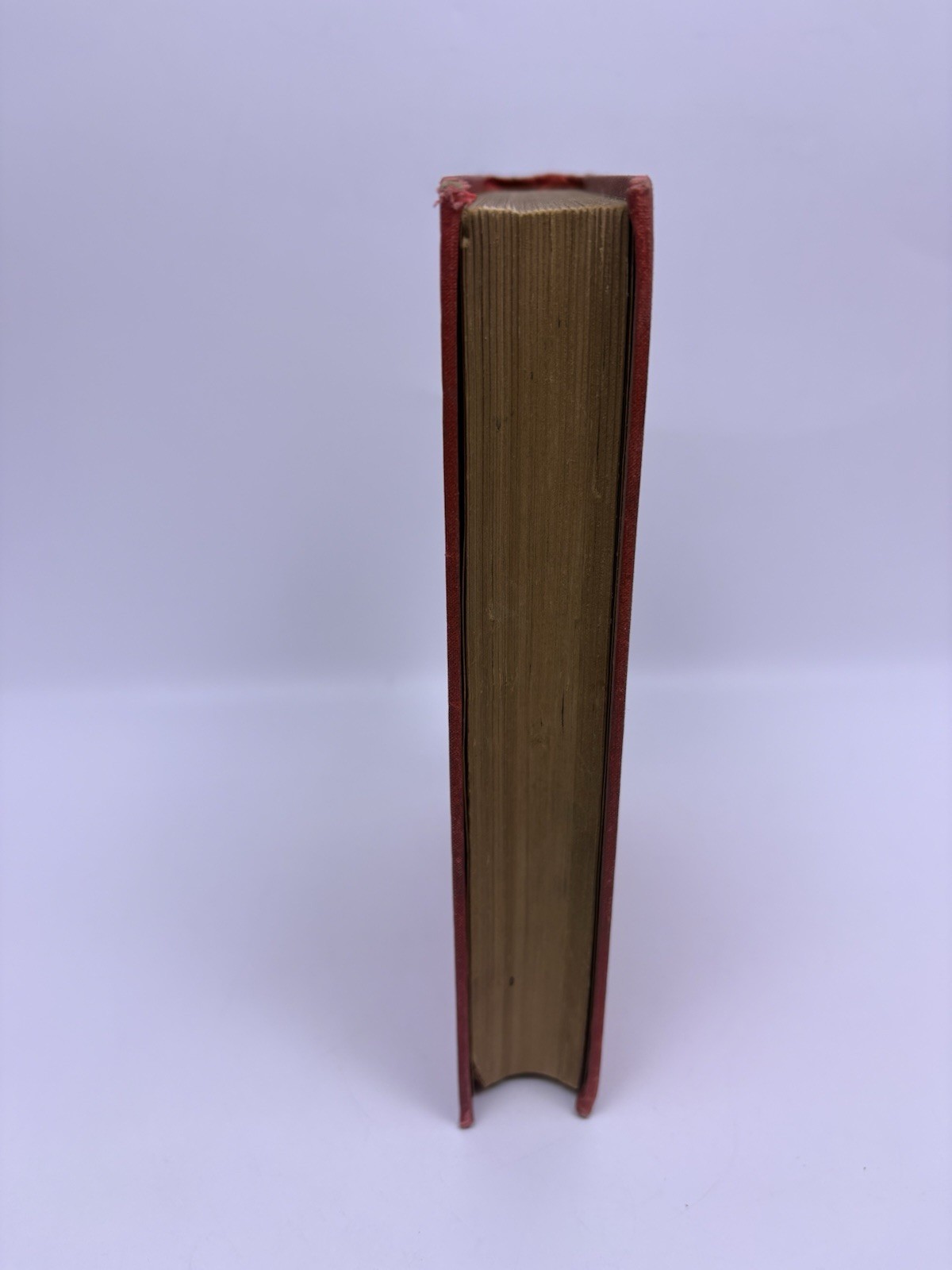 Green Pastures And Paccadilly William Black John W. Lovell Company NY Hardcover