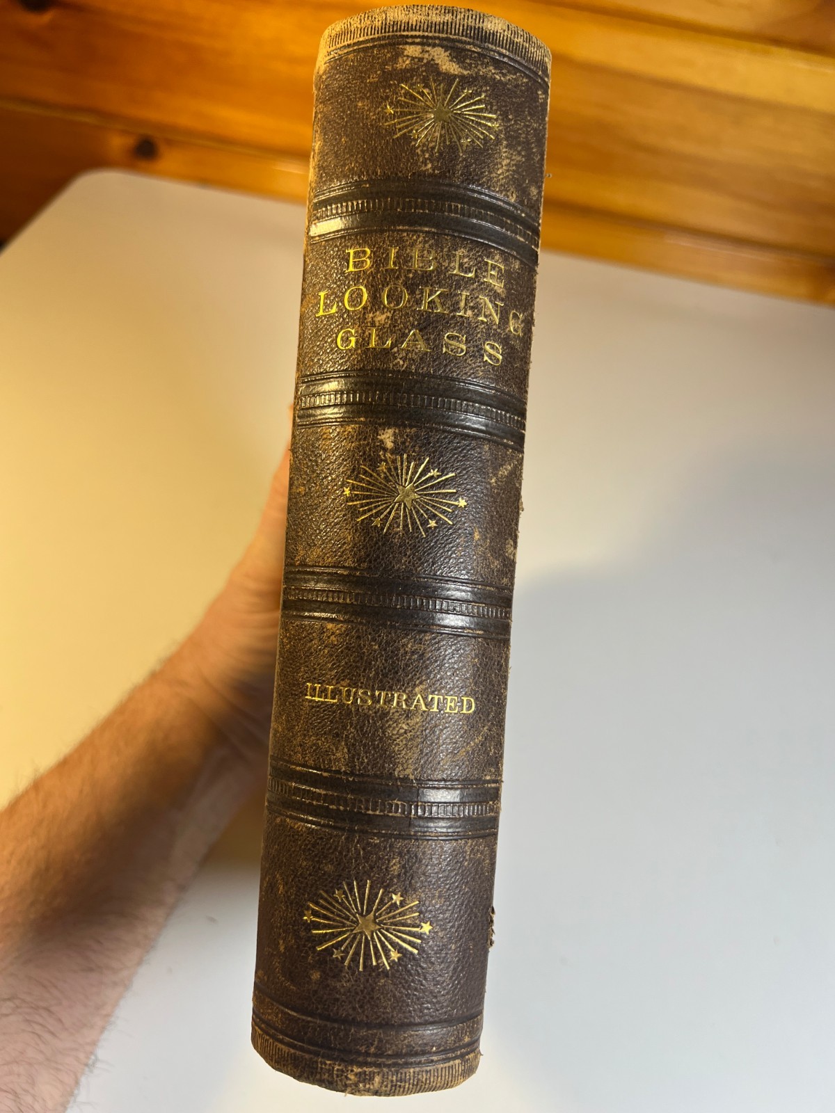 Antique 1874 Bible Looking Glass Illustrated Religious Emblems Leather Gilt AEG