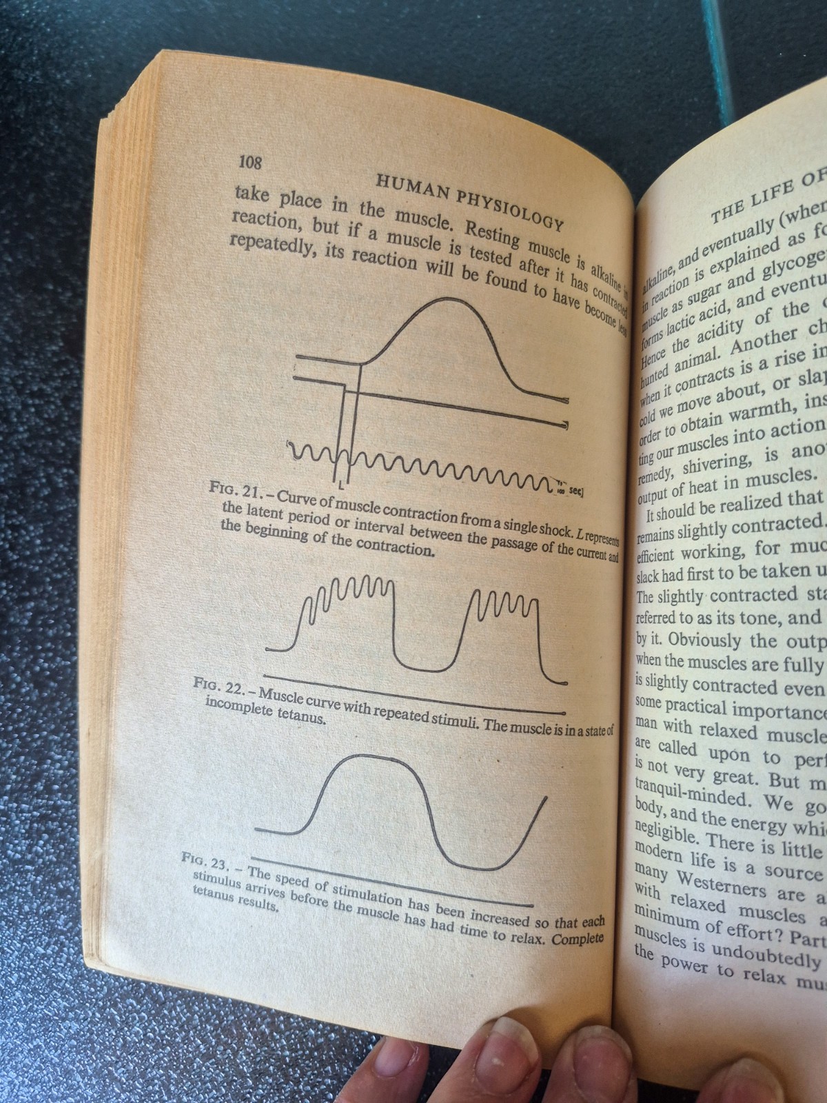 Human Physiology Kenneth Walker 1968 Pelican Vintage Paperback Book A102