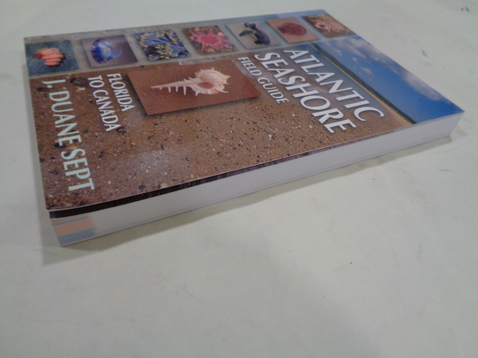 Atlantic Seashore Field Guide: Florida to Canada by J. Duane Sept 2016 1st Ed