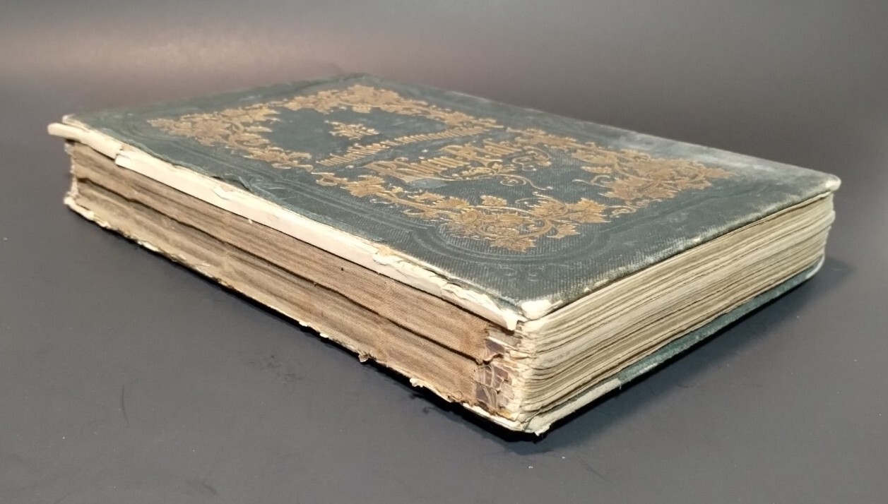 Palatinate At Rhine Rhein Pfalz Illus. Antique, Decorative Hardcover Book 1850’s