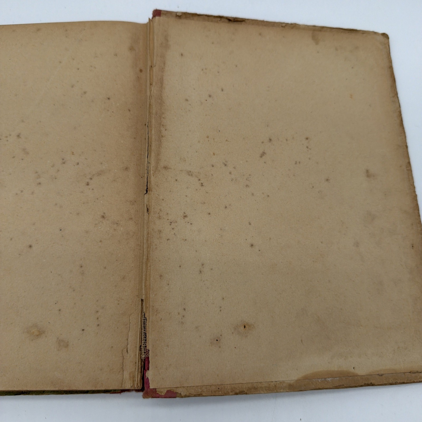 1901 Eagle Eye Our Little Indian Friend by Mrs Belle Manley Stayton