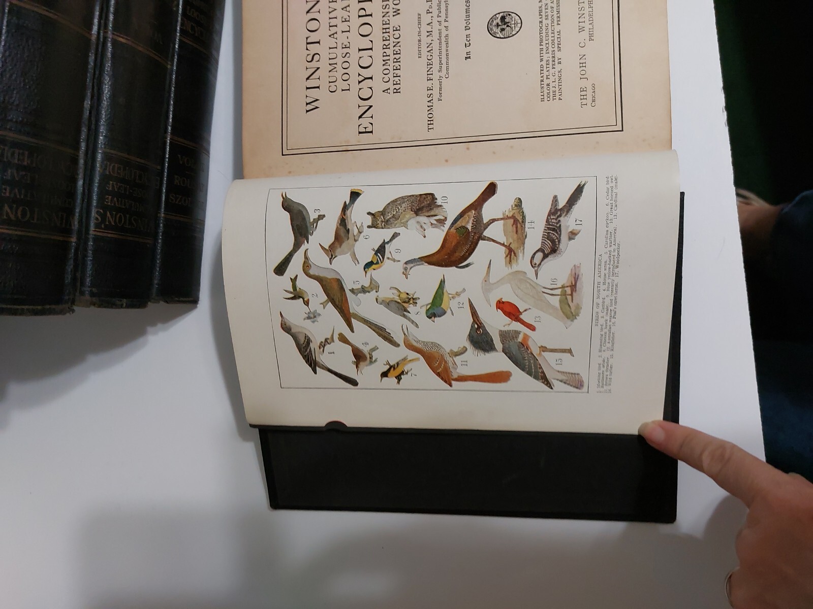 Antique Winstons Cumulative Loose-leaf Encyclopedia A Comprehensive Reference…