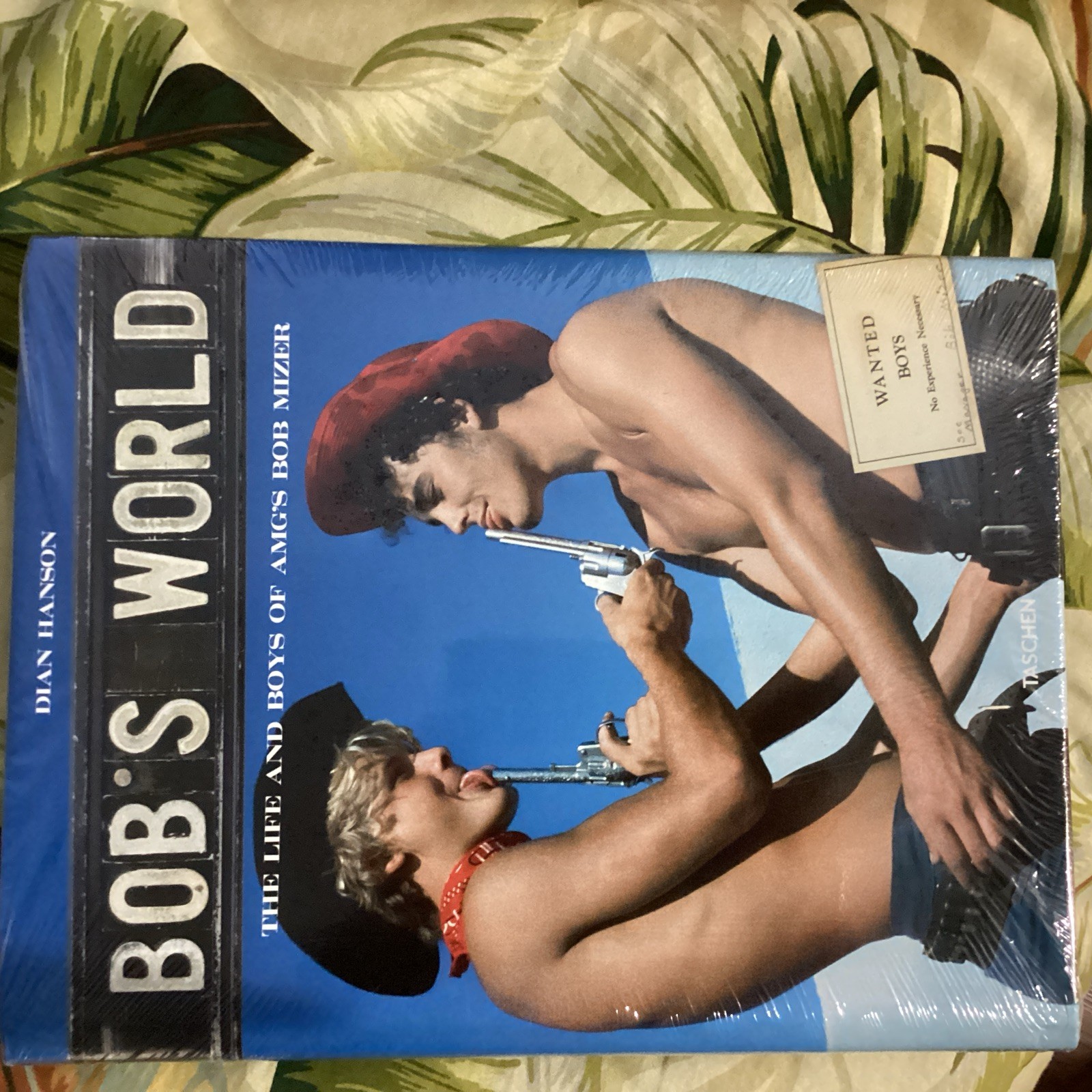 Bob’s World. The Life and Boys of Amg’s Bob Mizer