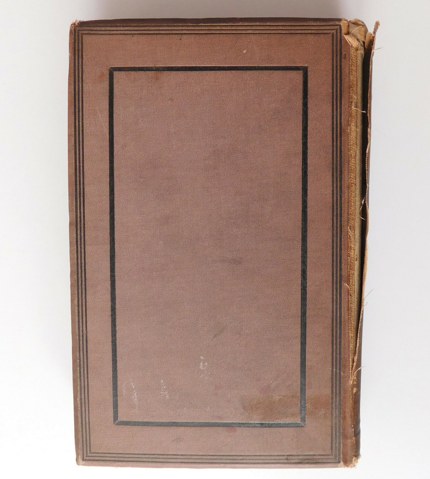 Charles Kingsley His Letters and Memories of his Life Vol 1 1870s book biography