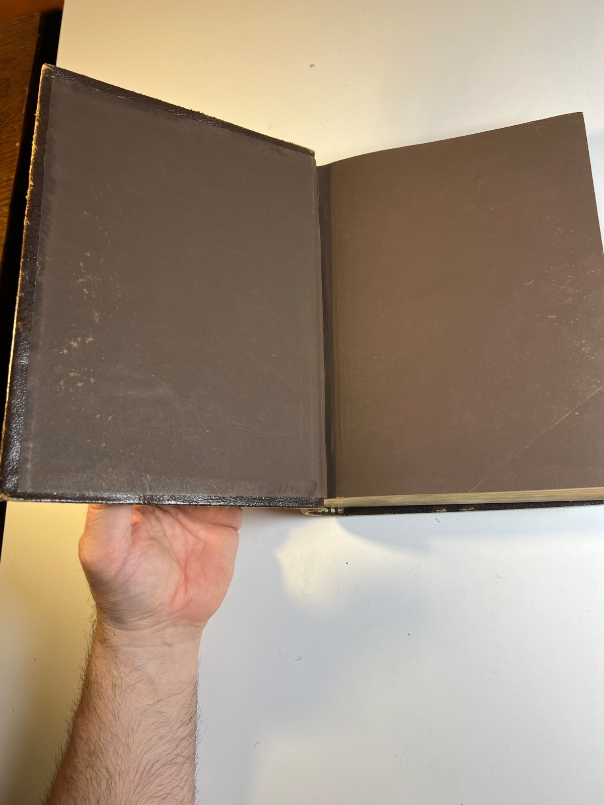 Antique 1874 Bible Looking Glass Illustrated Religious Emblems Leather Gilt AEG
