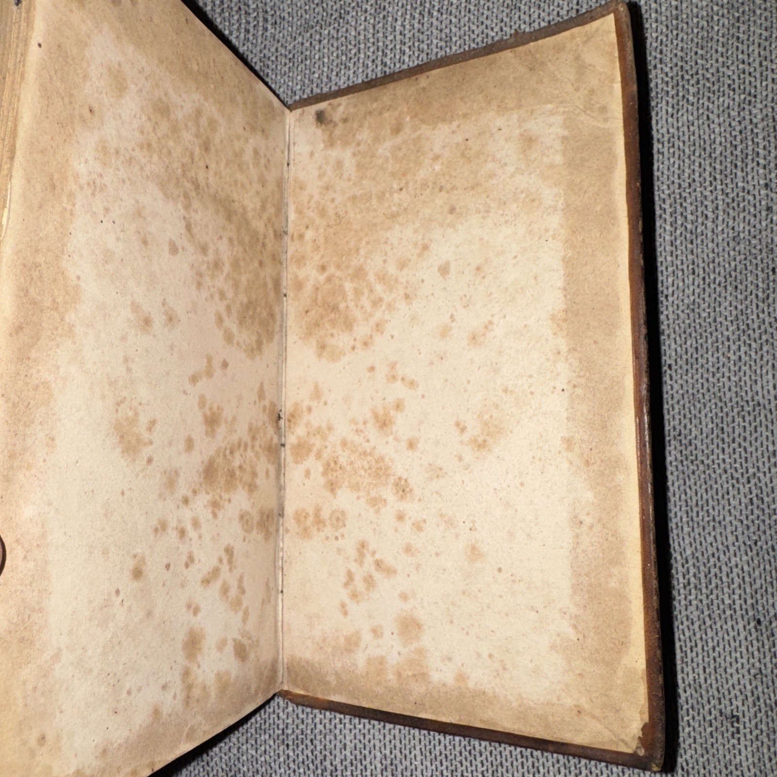 1822 Modern Practice of Physic Method of Treating Diseases Robert Thomas Leather