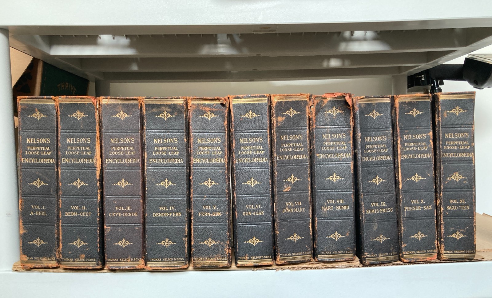 Nelson’s Loose-Leaf Encyclopedia 12 Vol Set Antique 1905–1918 Illustrated