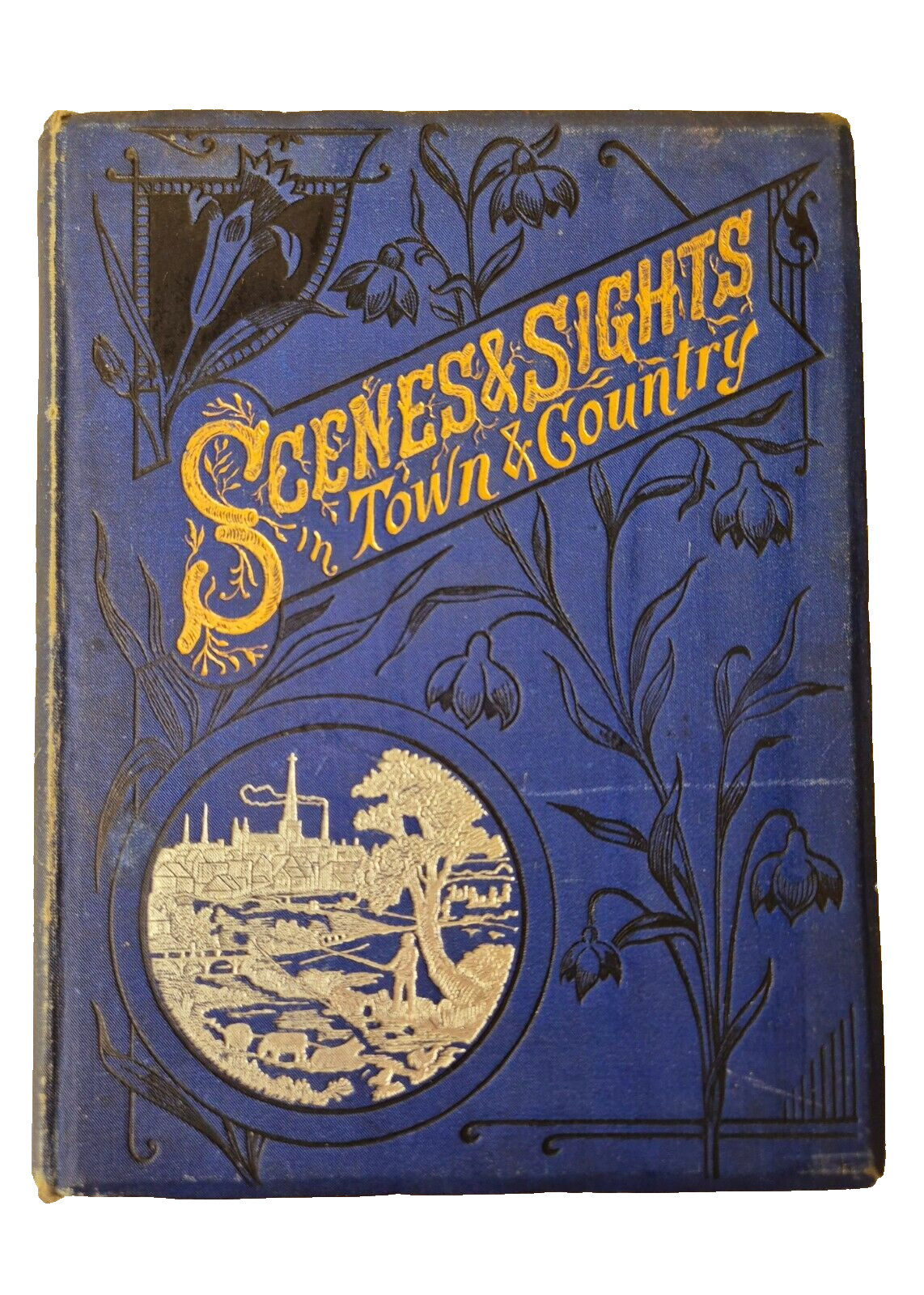 Scenes and Sights in Town and Country 1892 Joseph Toulson Antique book