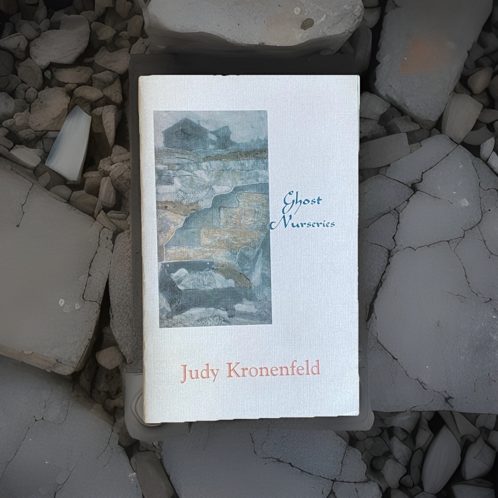 Contemporary Poetry ~ Ghost Nurseries ~ Judy Kronenfeld ~ 1st Ed 2005