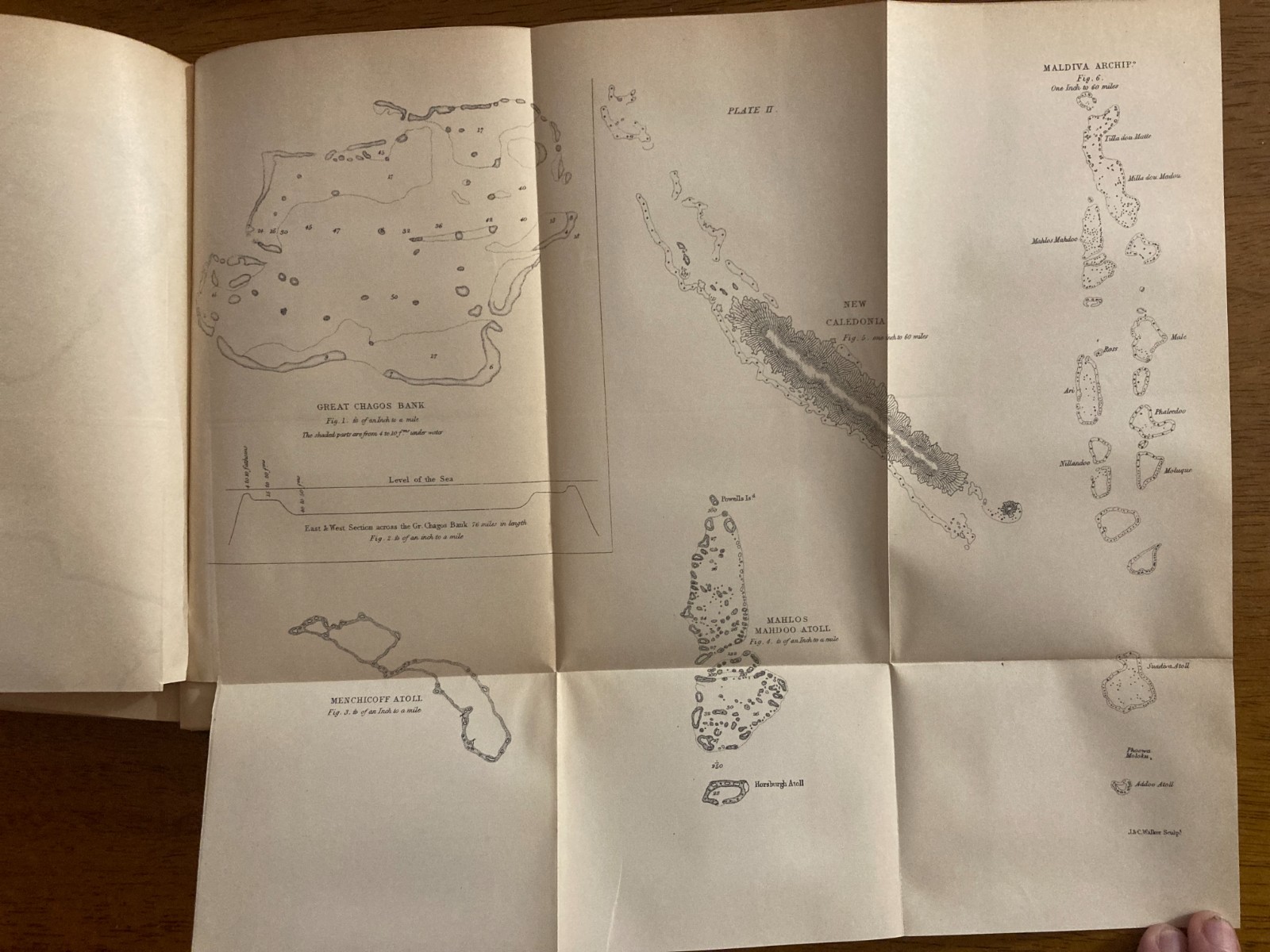 1887 „The Structure and Distribution of Coral Reefs“ by Charles Darwin