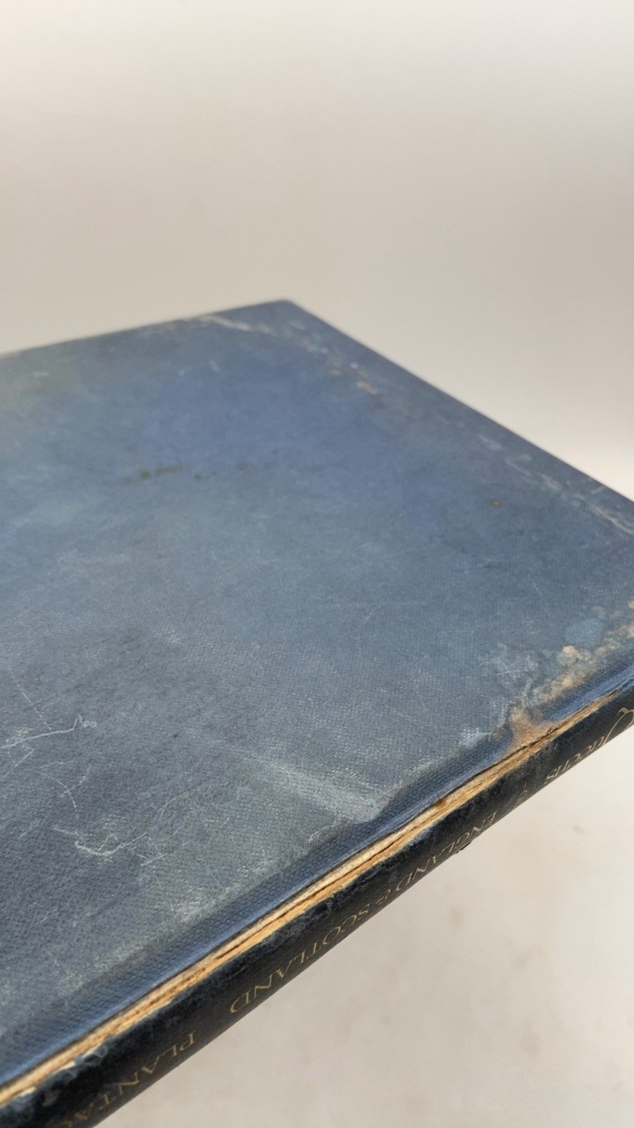 The Kings & Queens of England & Scotland Plantagenet Somerset Fry Hardcover F…