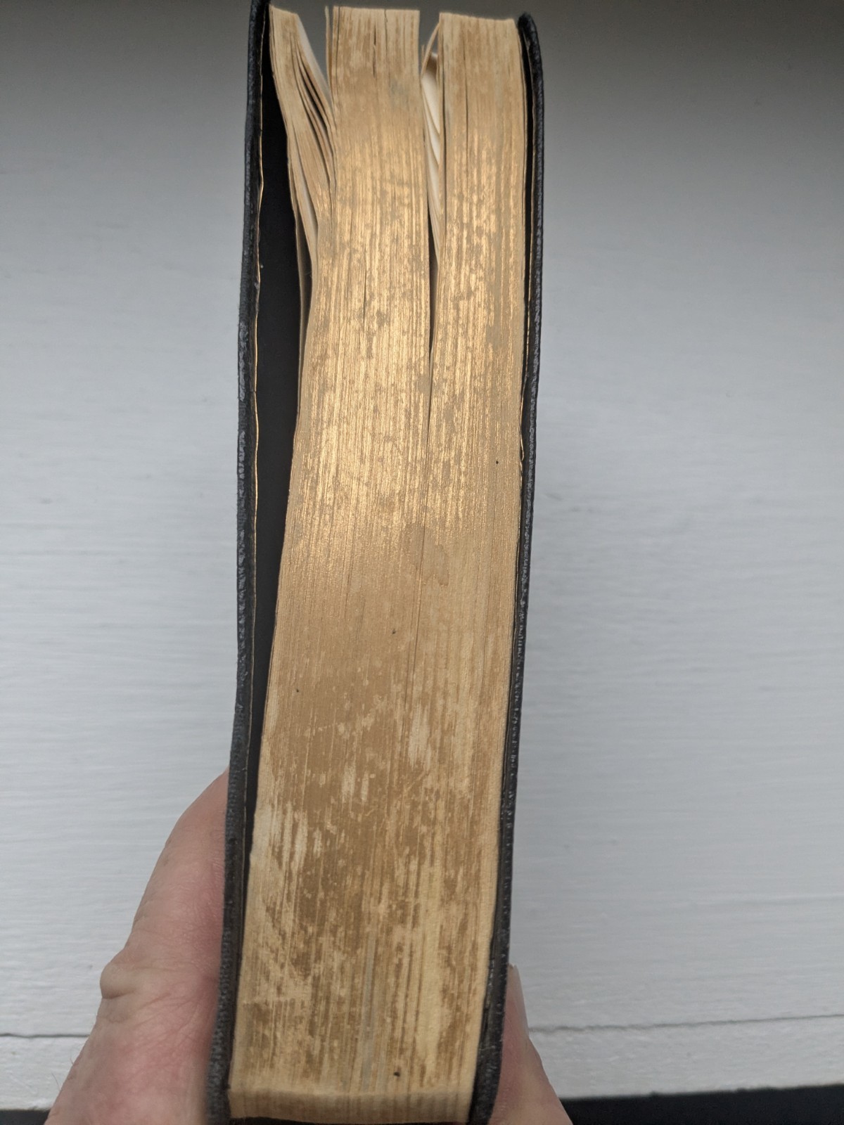 Black Leather The Berkeley Version in Modern English Bible Vintage 1962