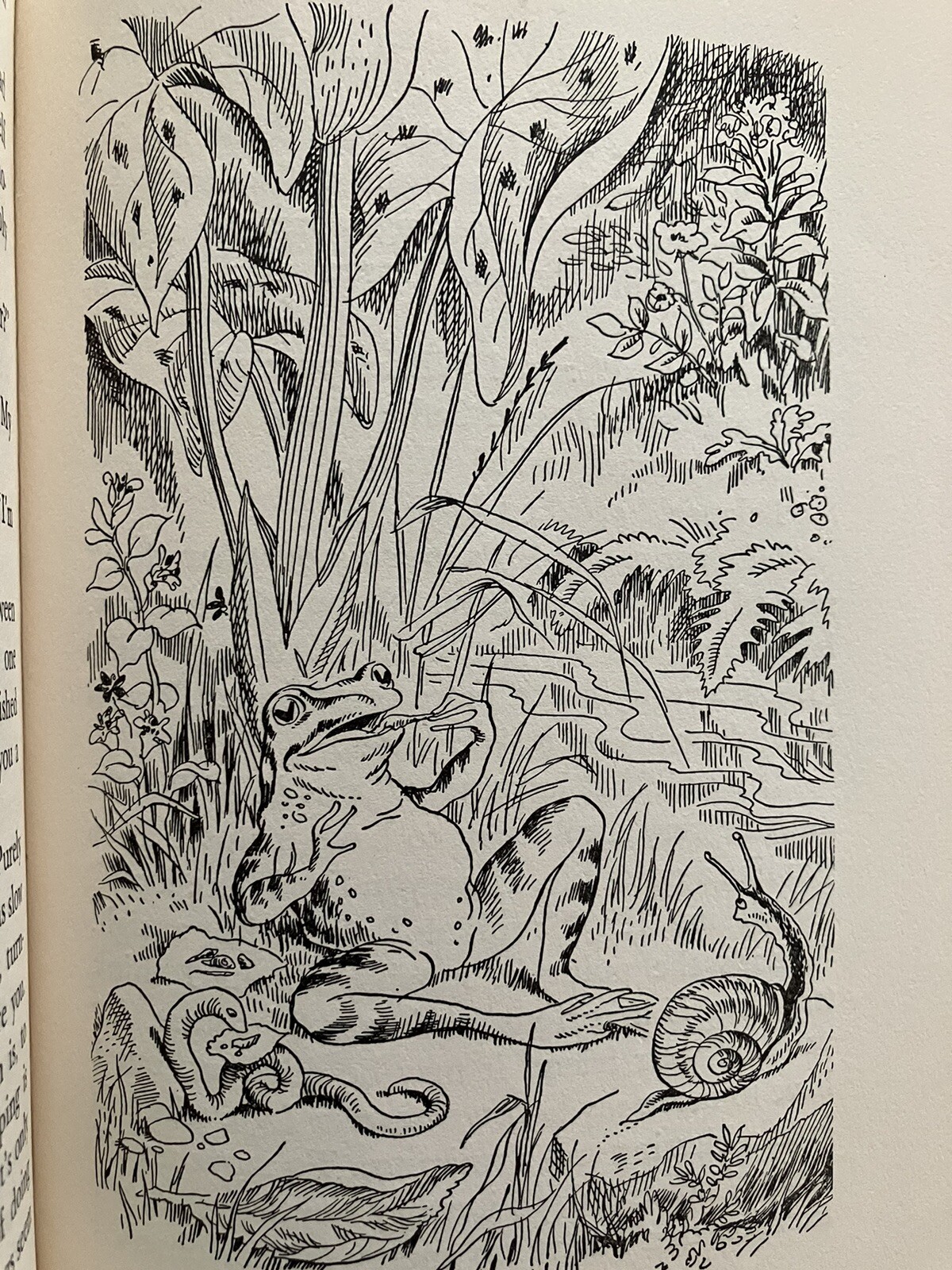 Margaret Moore/Willie Without/HBDJ/First Edition/1951/Nora Unwin