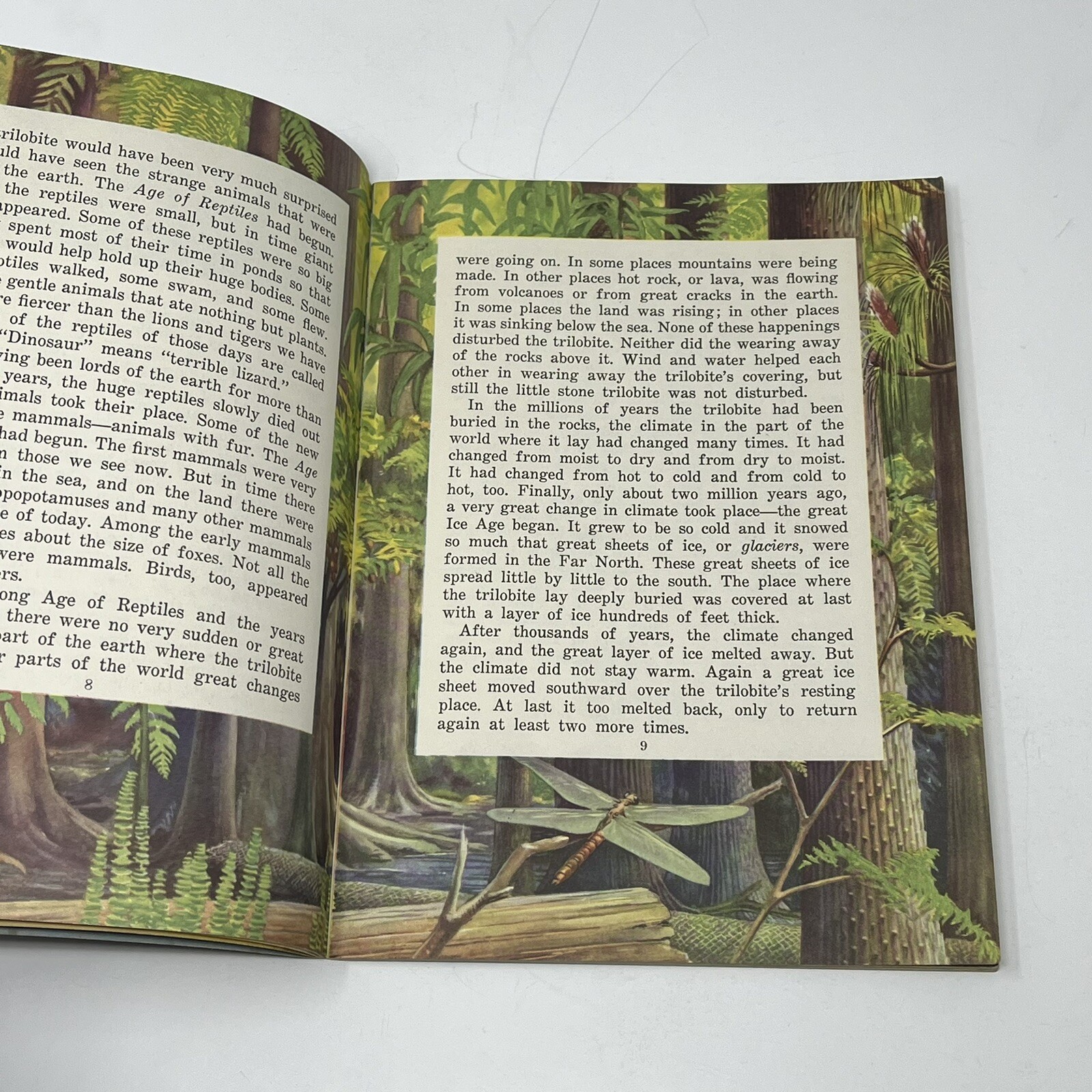 1950 Stories From The Rocks Basic Science Education Book Bertha Morris Parker
