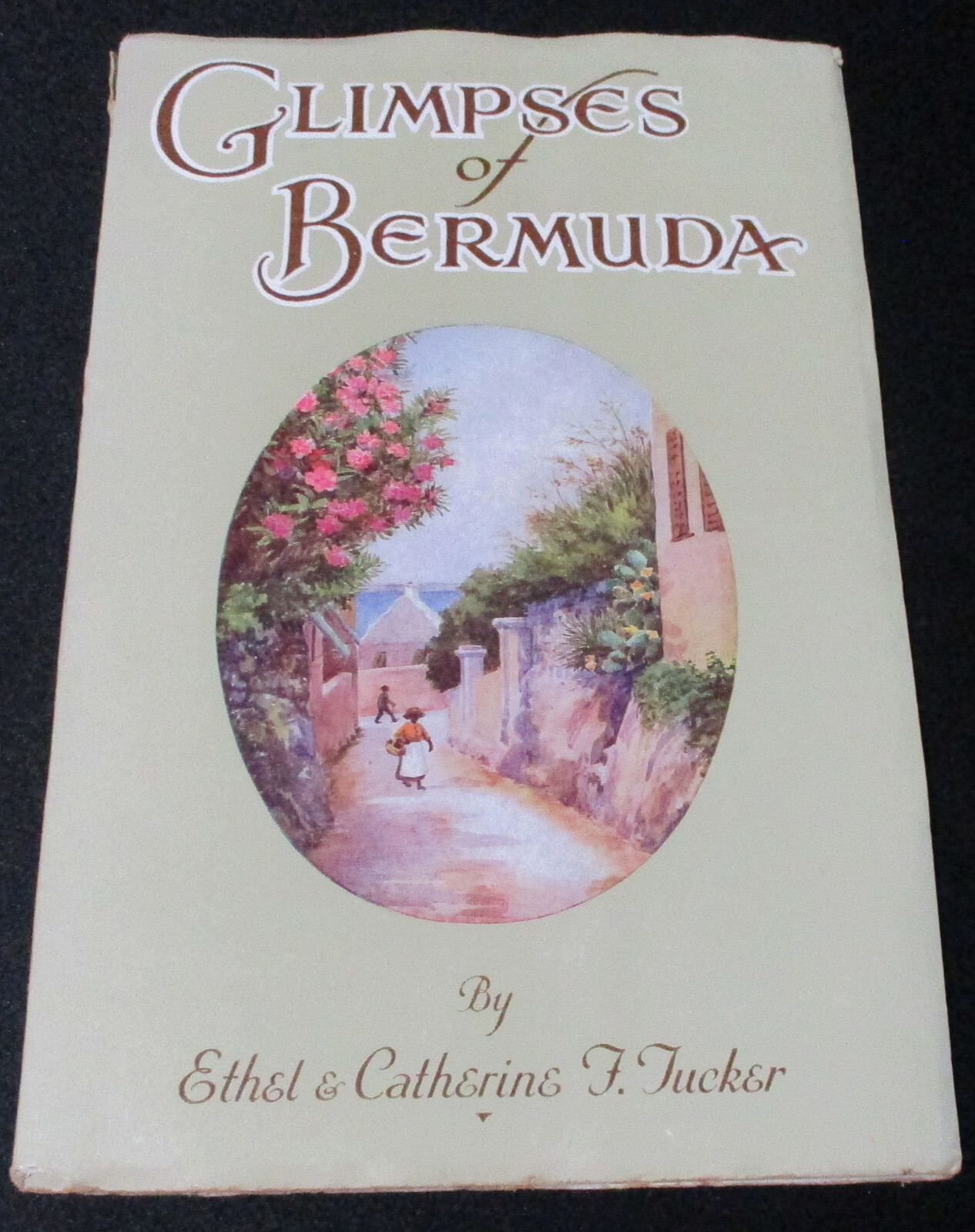 1930s GLIMPSES OF BERMUDA Tucker Color Tipped Plates