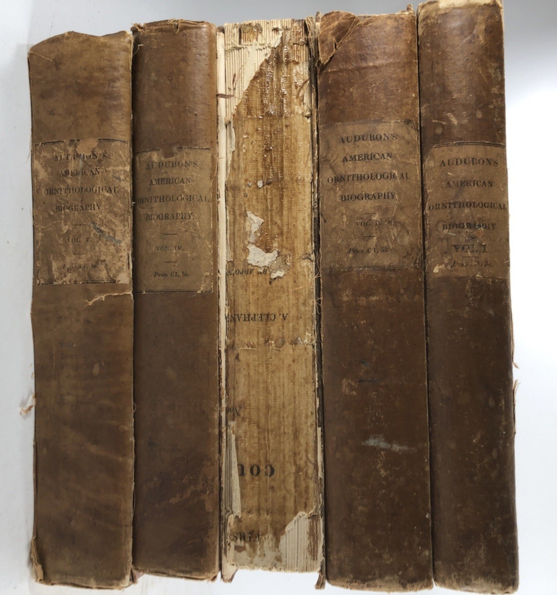 Ornithological Biography John J Audubon 1831-1839 Edinburgh Adam Black Vols I-V