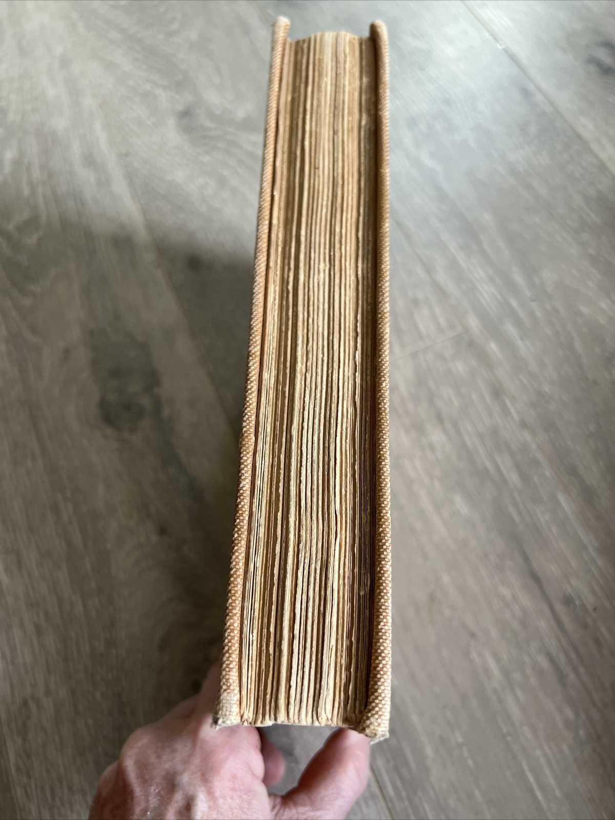Mysteries Of The Heart Doctrine Katherine Tingley RARE 1902 1st/1st Theosophical