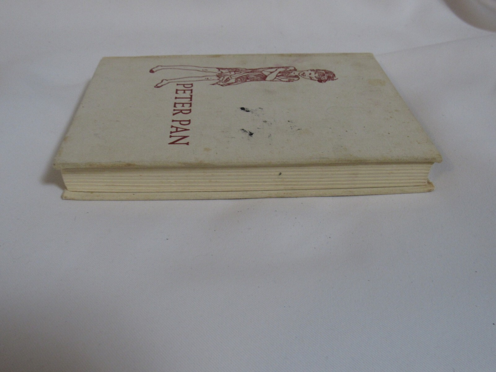The Willow Leaf Library „Peter Pan“ By J.M. Barrie Illustrated By Nora S. Unwin