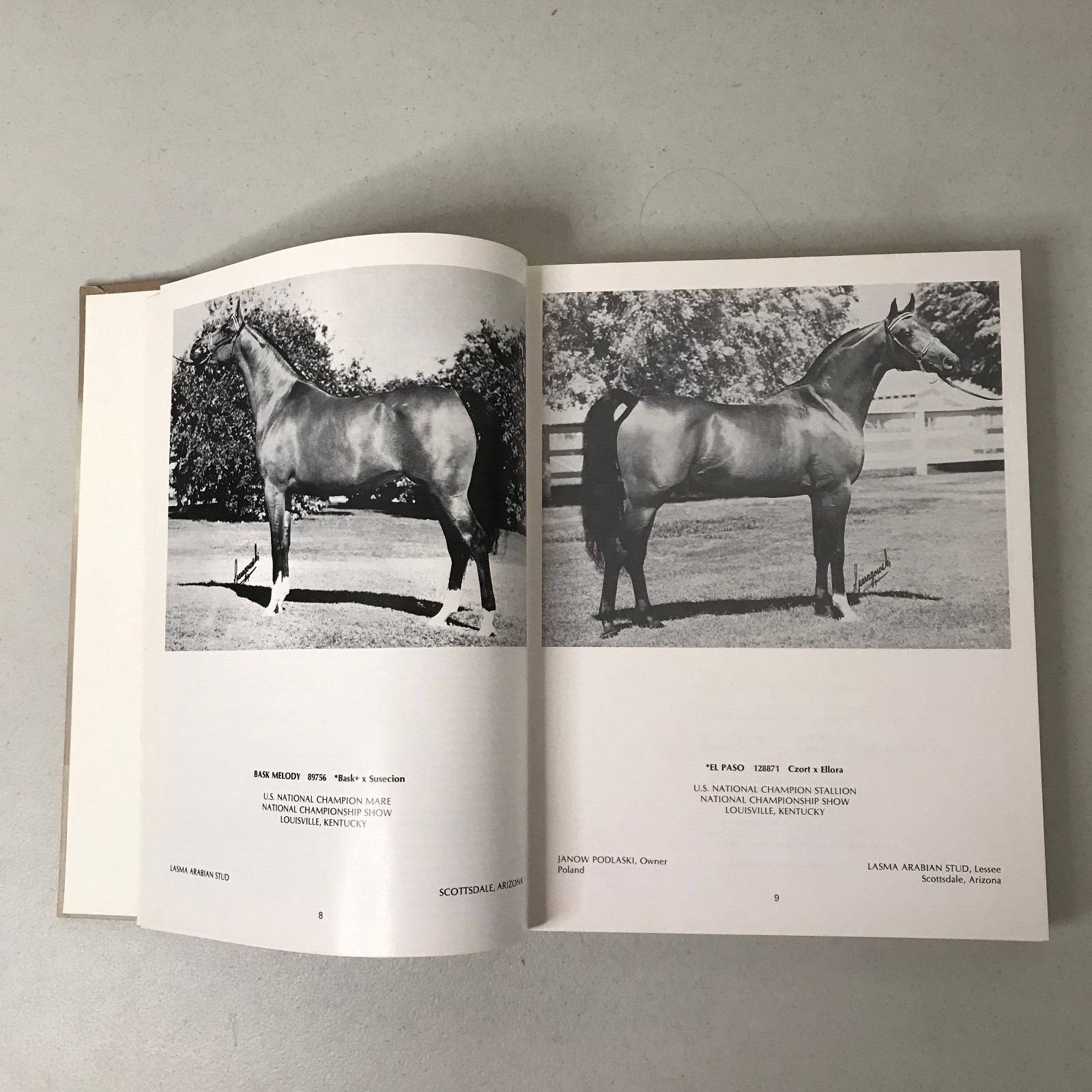 Arabian Horse Yearbook 1976 – Arabian Horse Association – HC