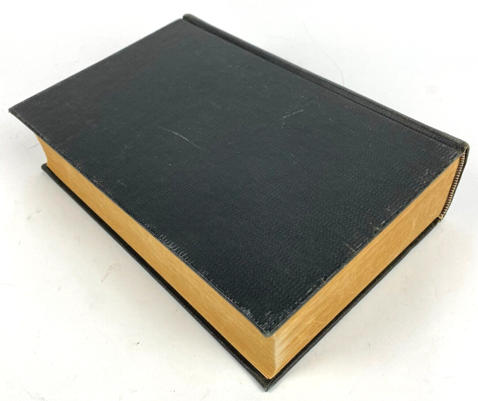 Dr. Martin Luthers German Bible Die Bibel Heilige Schrift Vintage