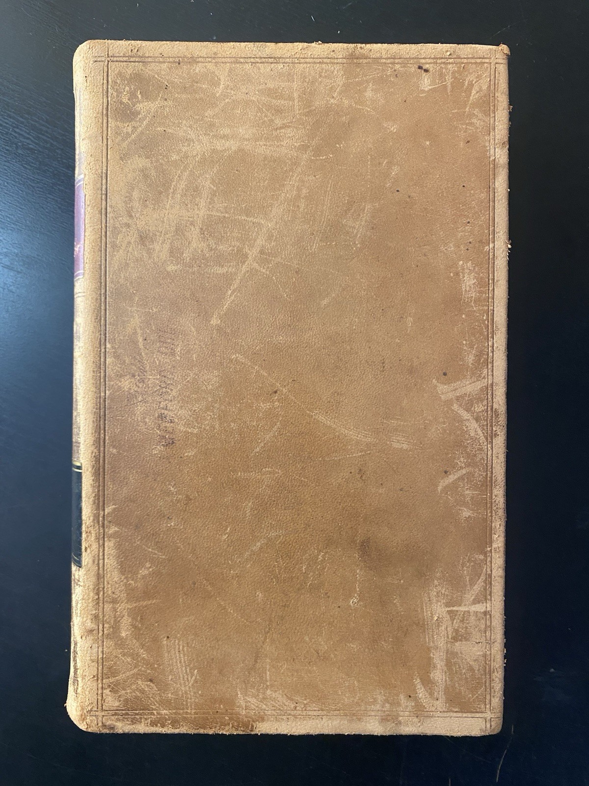 Oregon Supreme Court (Vol. 21) May Term 1891 – October Term 1891 Leather