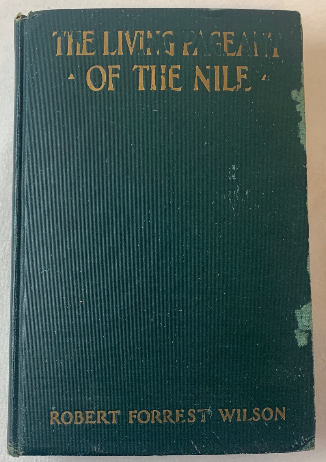 1924 Robert Forrest Wilson LIVING PAGEANT OF THE NILE ~ ancient Egypt