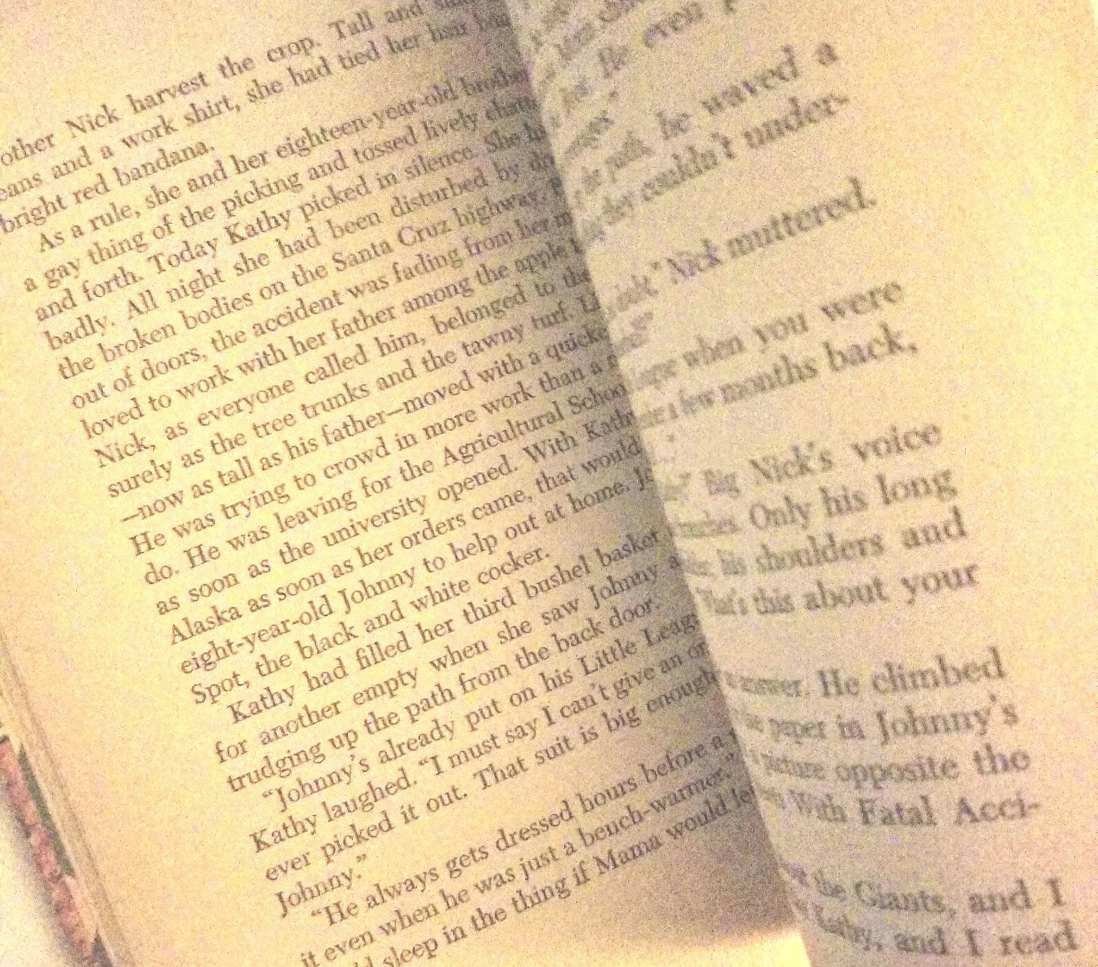 The Patient in 202: A Kathy Martin Story (1961) – TRUE FIRST EDITION – Josephine
