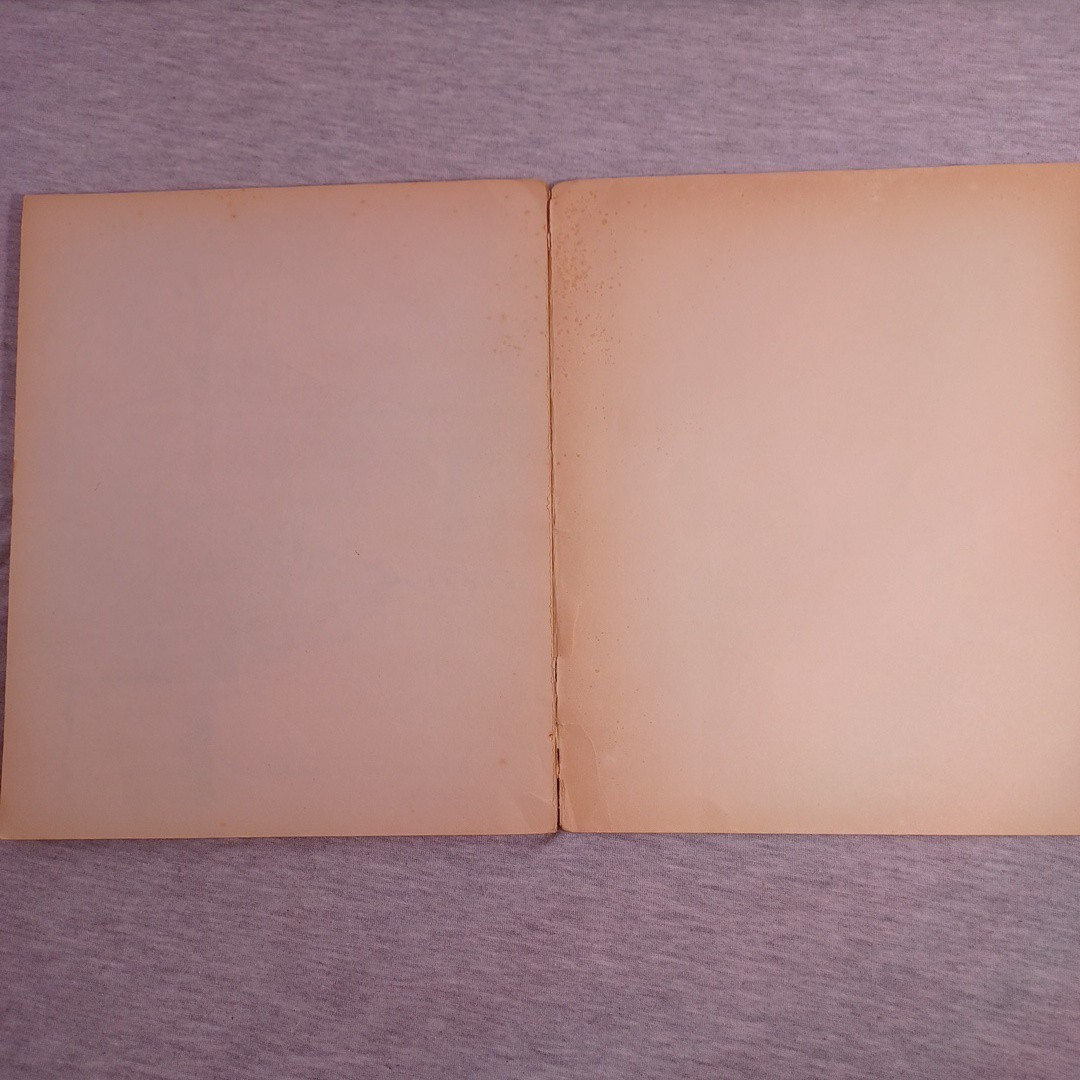 Make Way For Ducklings By Robert Mccloskey 1967 1st Printing TJ 1113 PB