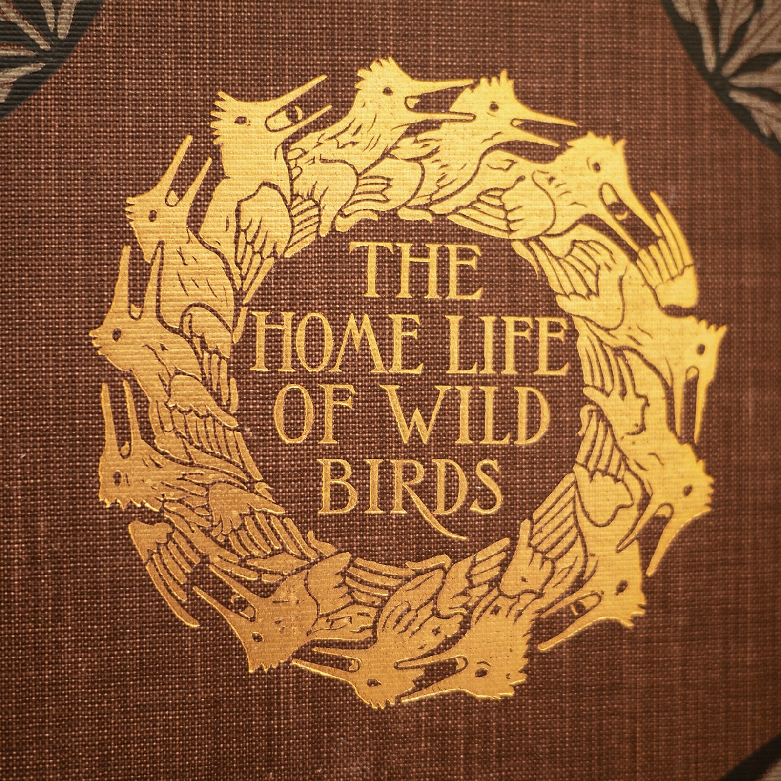 1901 THE HOME LIFE OF WILD BIRDS MARGARET ARMSTRONG SIGNED-BINDING ANTIQUE BOOK