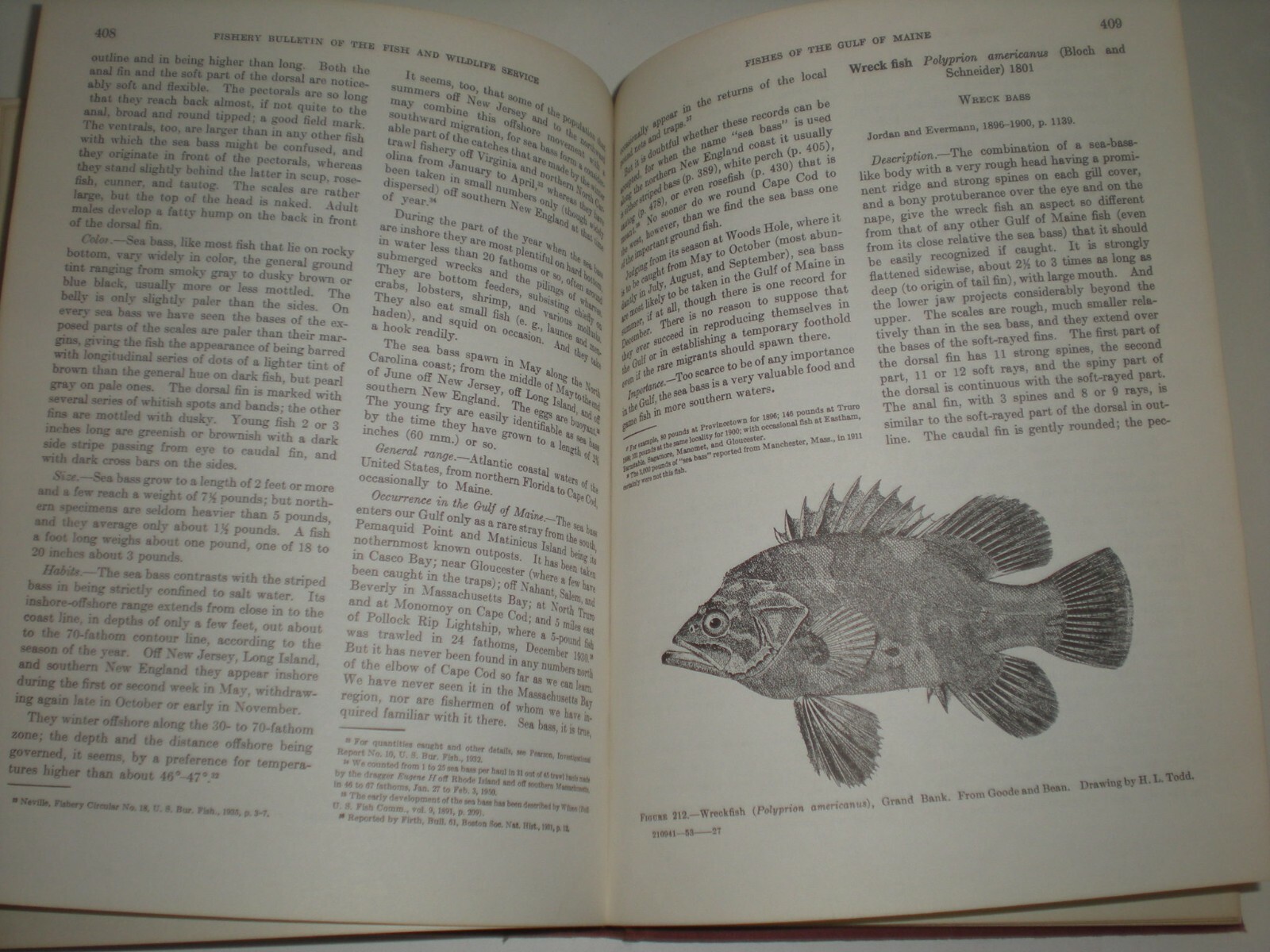 Fishes of the Gulf of Maine by Henry Bigelow Government Printing Office 1961 HB
