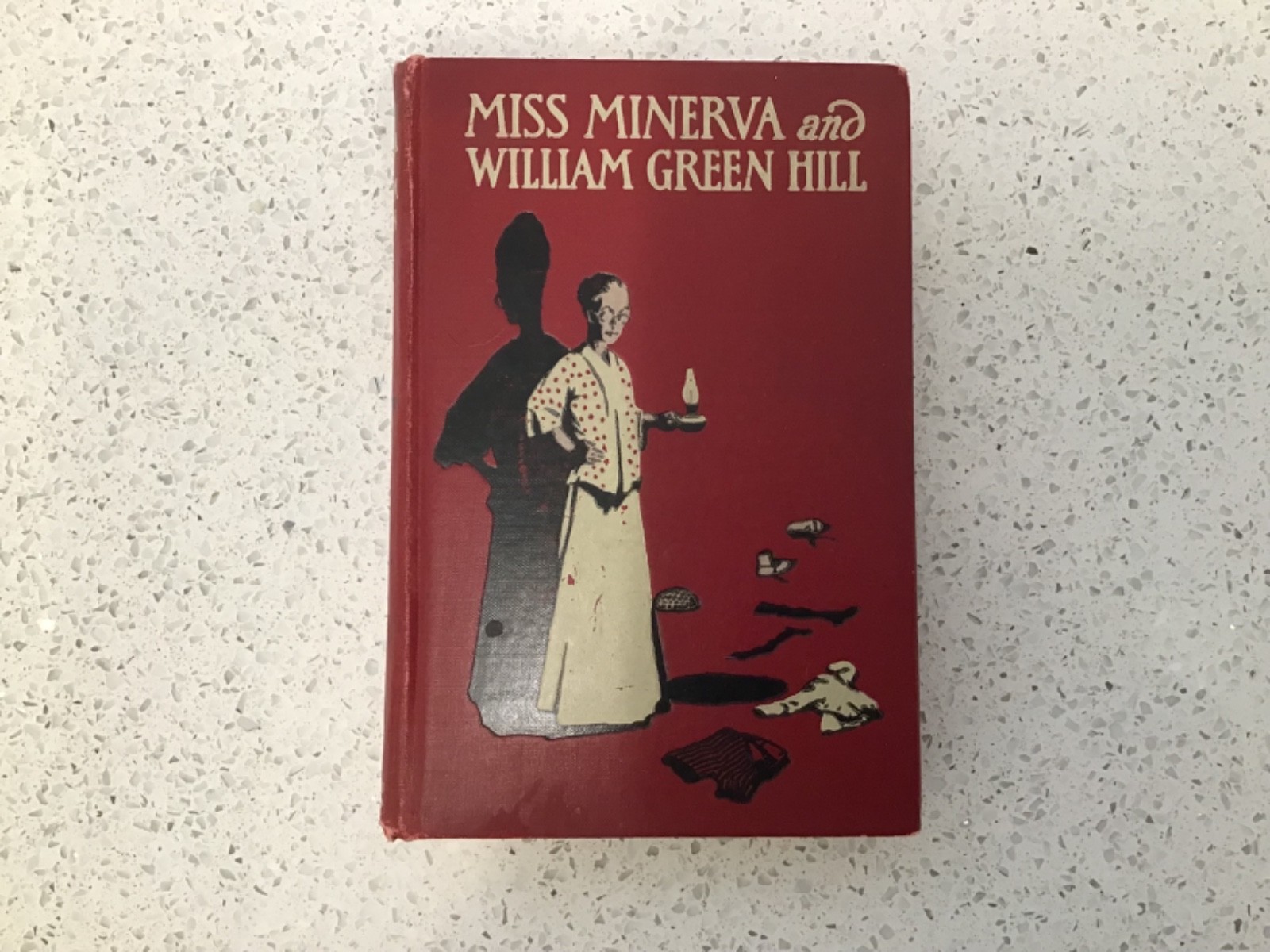 Miss Minerva and William Green Hill by Frances Boyd Calhoun 1913 (16th ed)