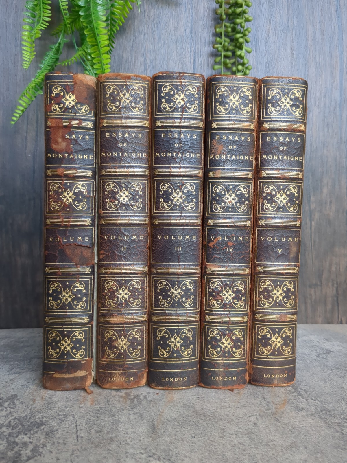 Essays of Montaigne 1923 – Navarre Society 5 vol set Illustrated Half Leather