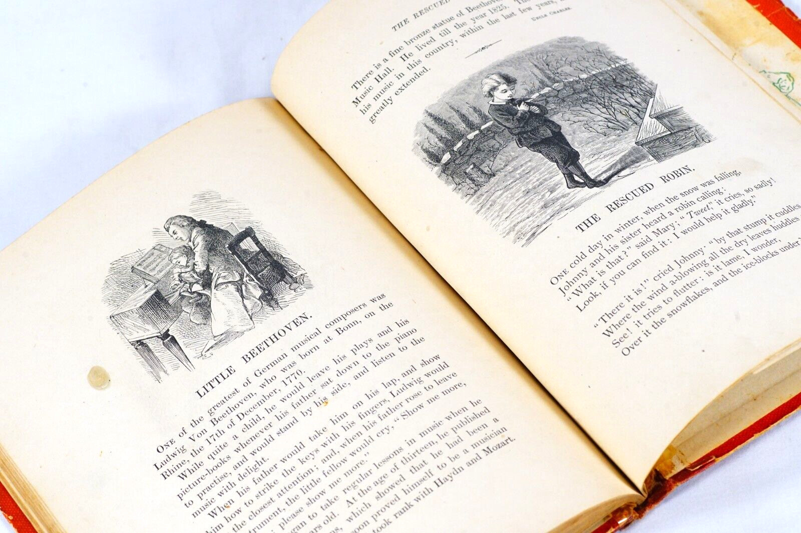 Picture Primer Victorian Illustrated Etchings Children Story Book 1903