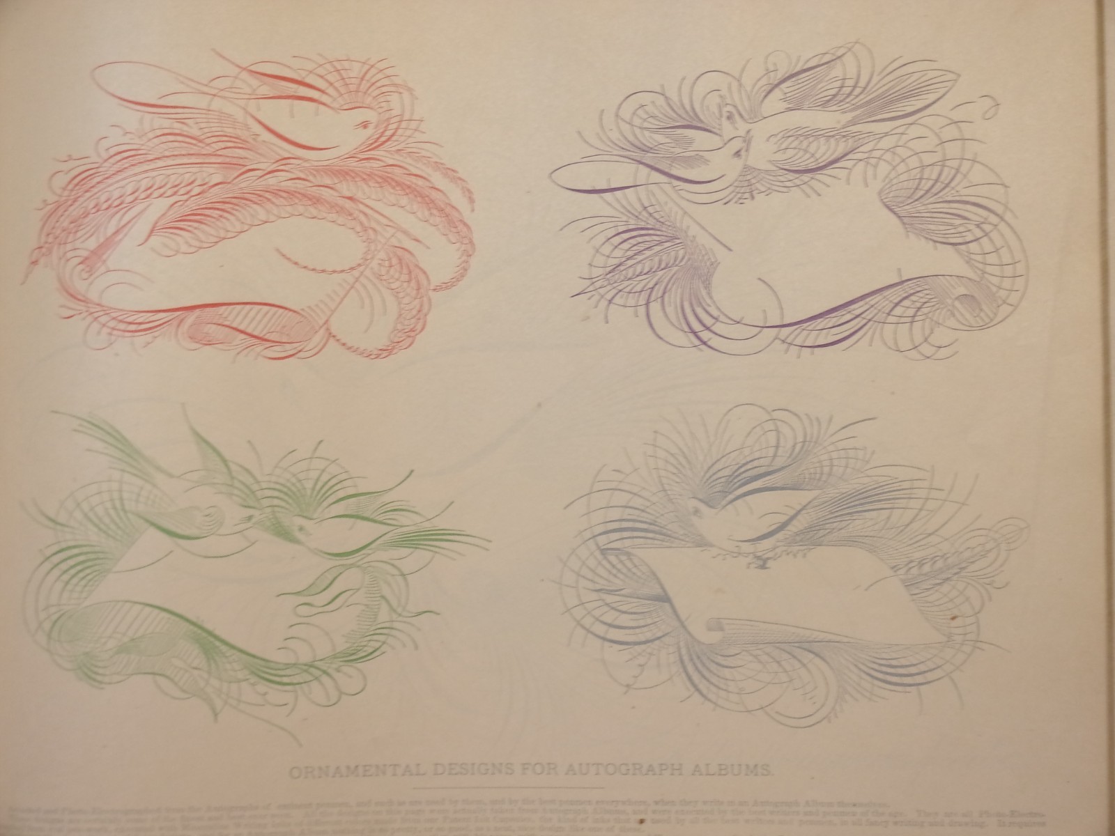 REAL PEN-WORK SELF-INSTRUCTOR IN PENMANSHIP. 1881, Knowles, Pittsfield, Mass.
